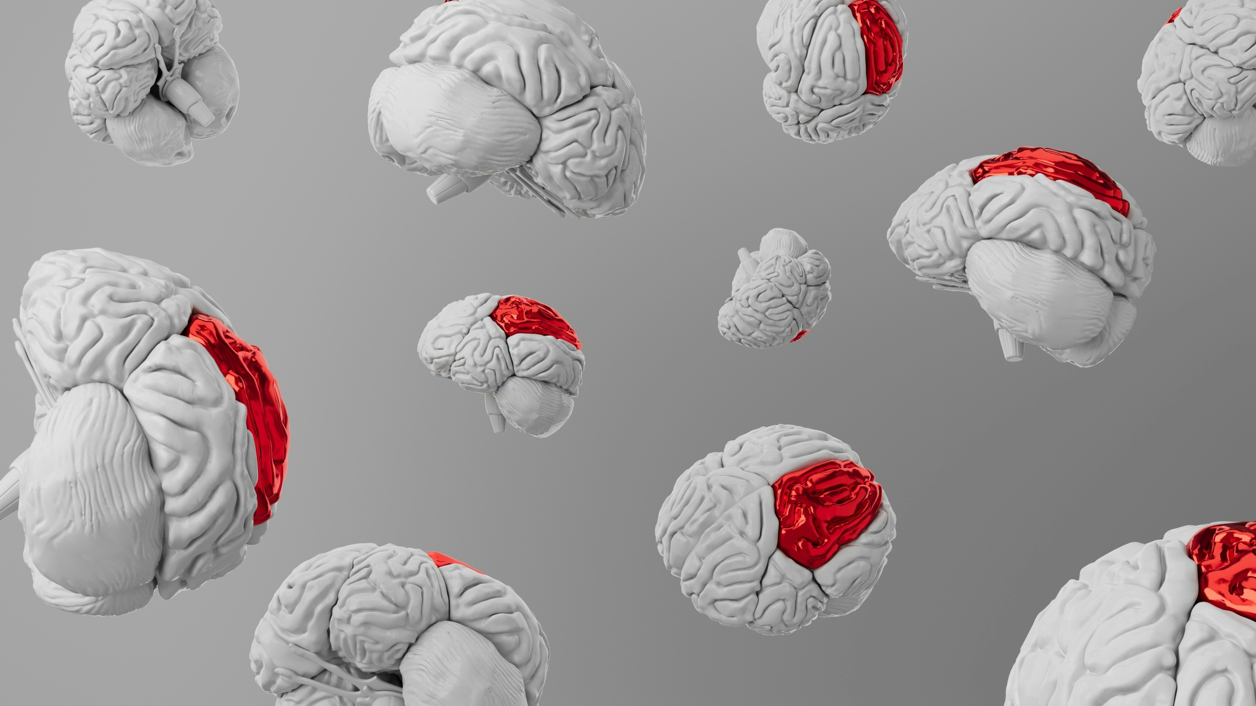 Multiple 3D brain models with specific regions highlighted in red floating on a gray background.