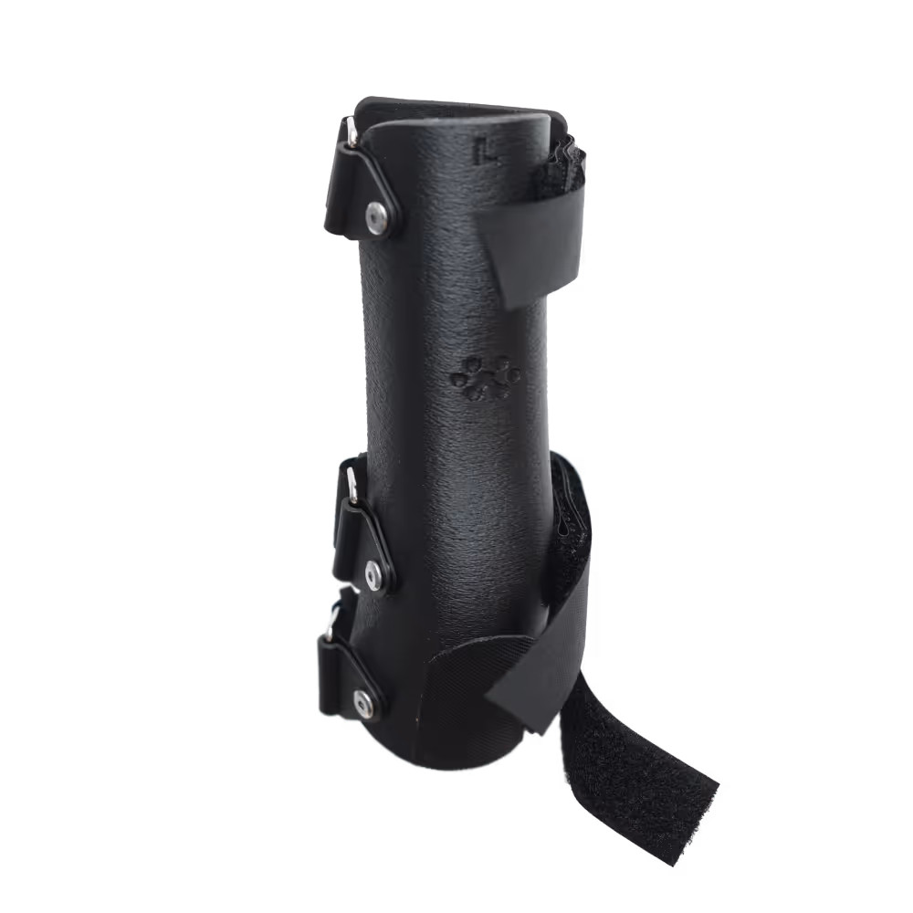 Proteo Front Splint