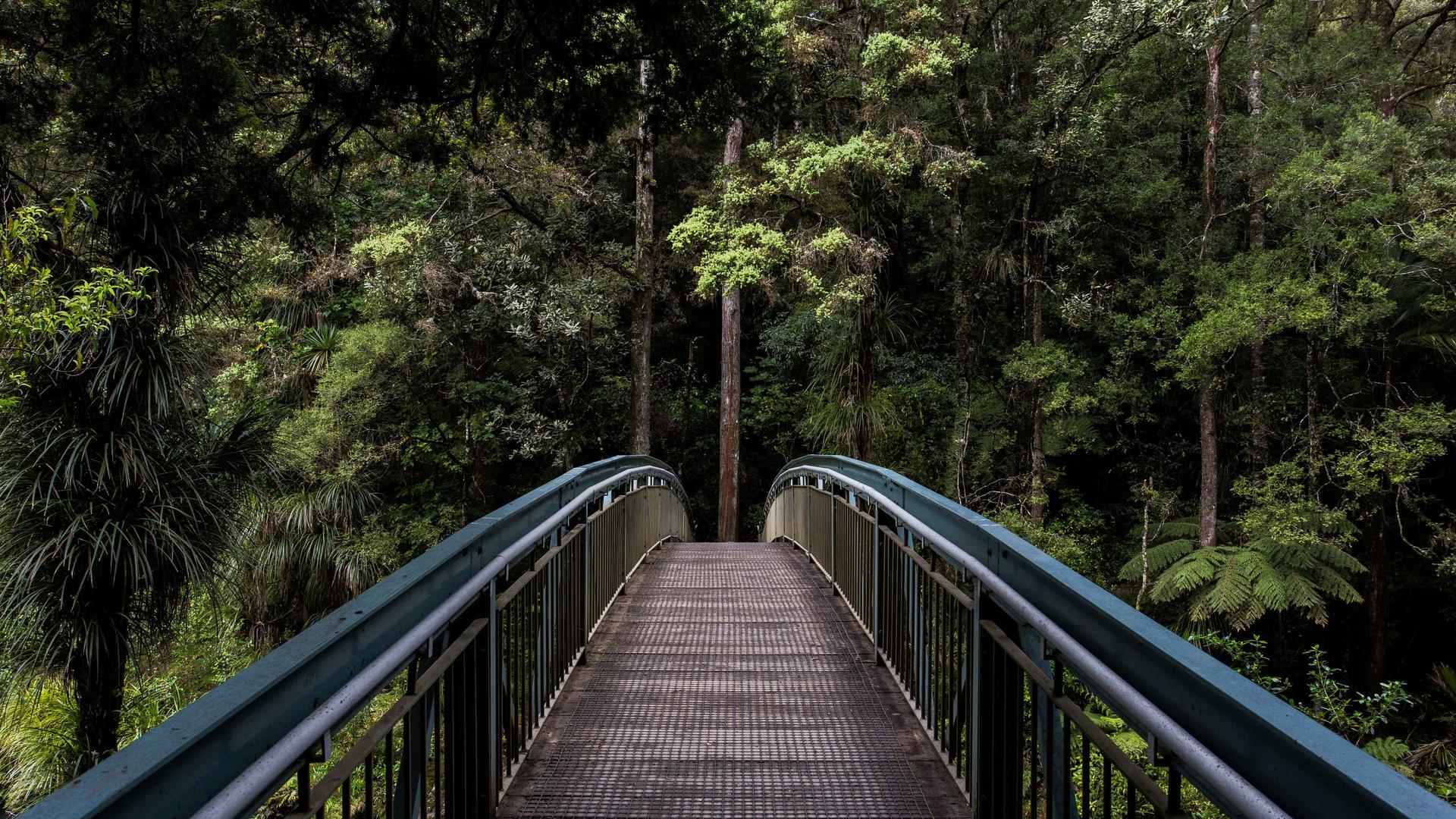 International Invitational Exhibition 10 (placeholder · Photo via Unsplash/Picsum)