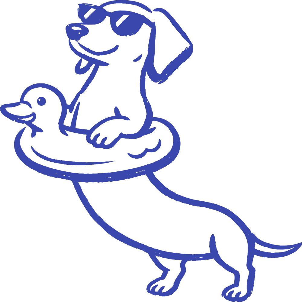 Illustration of a dachshund wearing sunglasses and a duck-shaped pool float around its chest.
