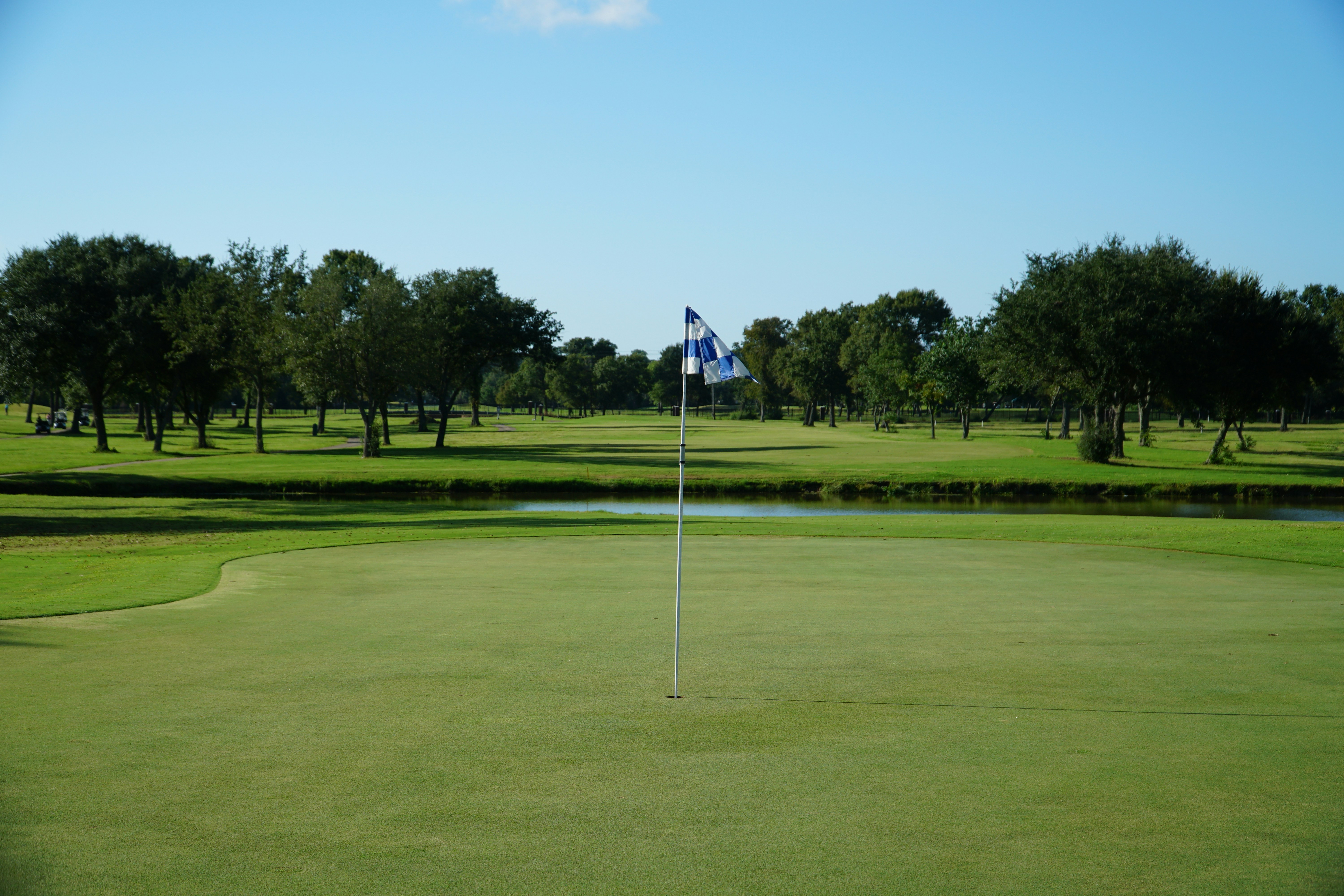 Golf course putting green with a flagstick and a blue and white checkered flag, surrounded by trees and a small water hazard.
