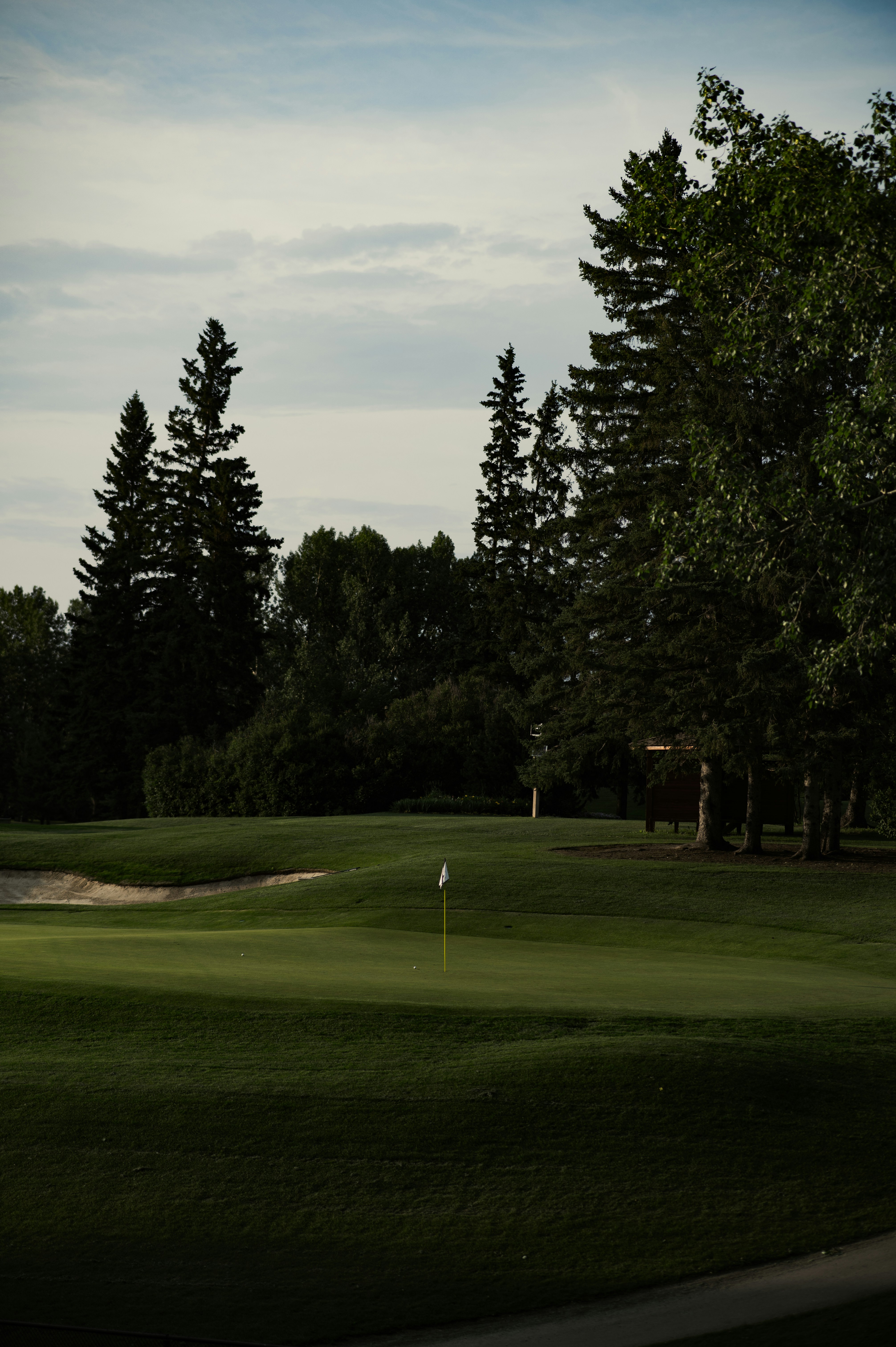 Golf green with a flagstick surrounded by trees under a partly cloudy sky.