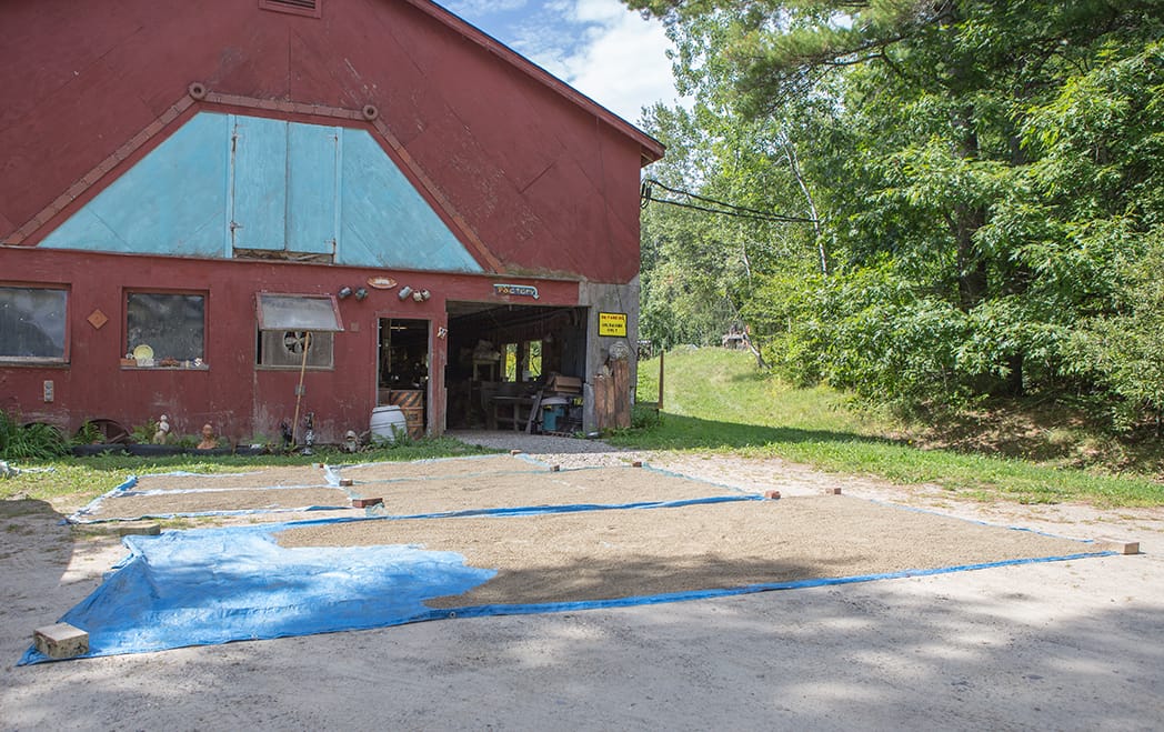 Clay drying by studio
