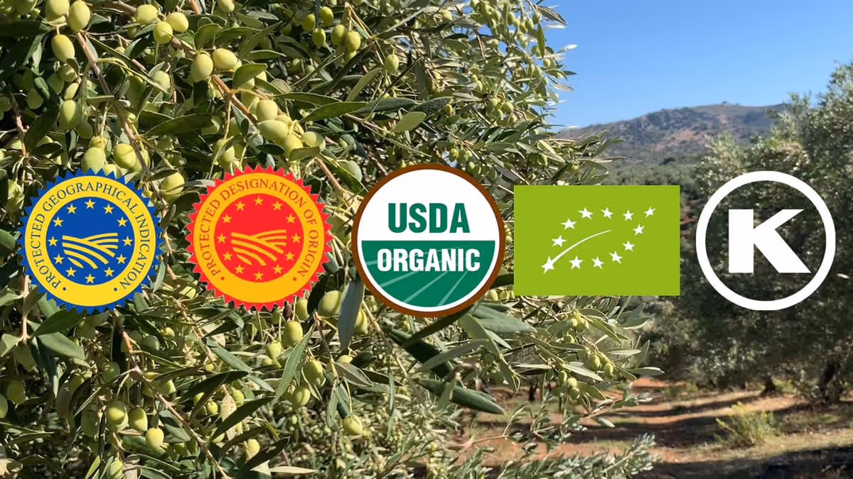 Olive tree with clusters of green olives and five certification logos including Protected Geographical Indication, Protected Designation of Origin, USDA Organic, EU organic leaf, and a kosher symbol.