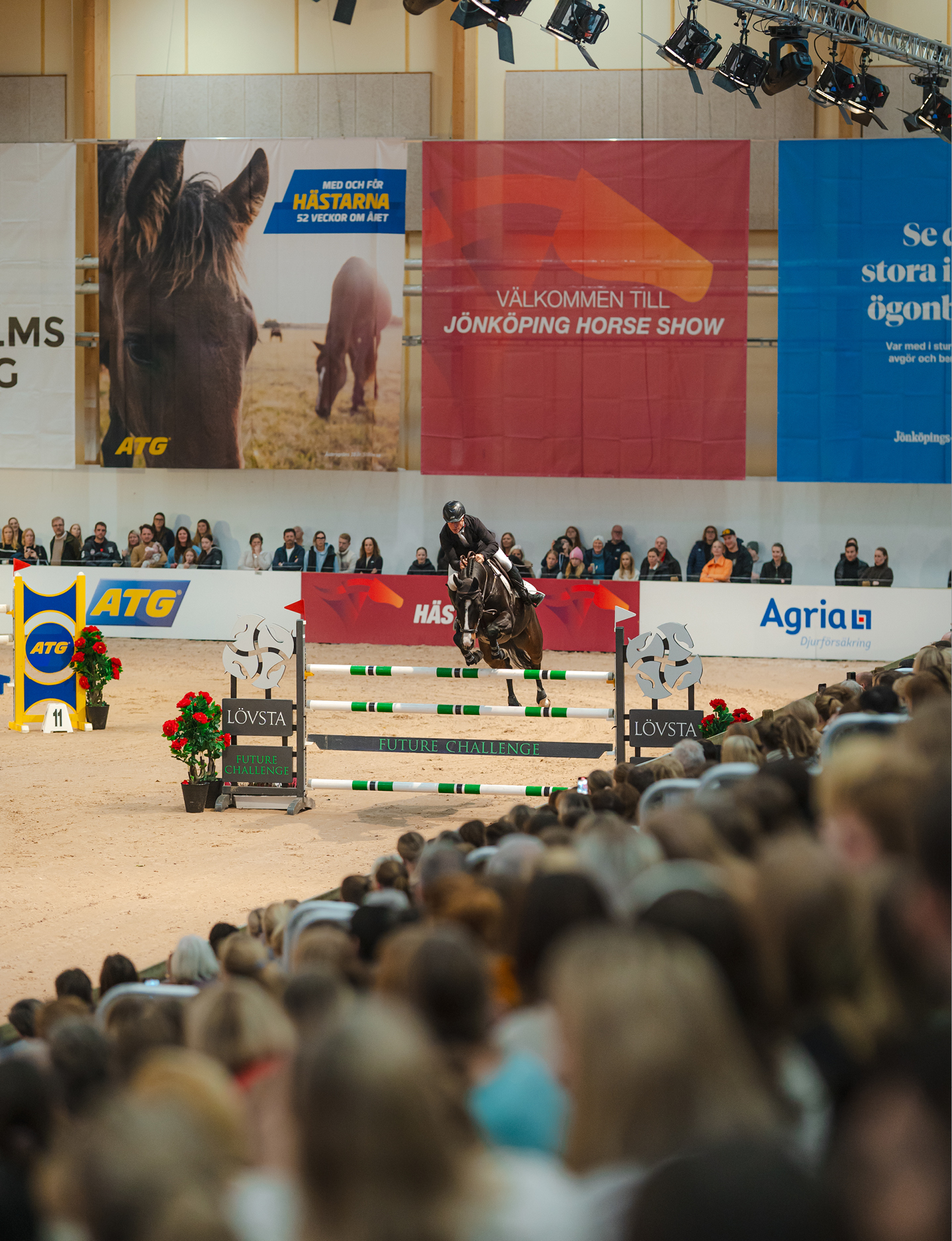 Equestrian rider jumps a dark horse over an obstacle at Jönköping Horse Show with spectators watching.