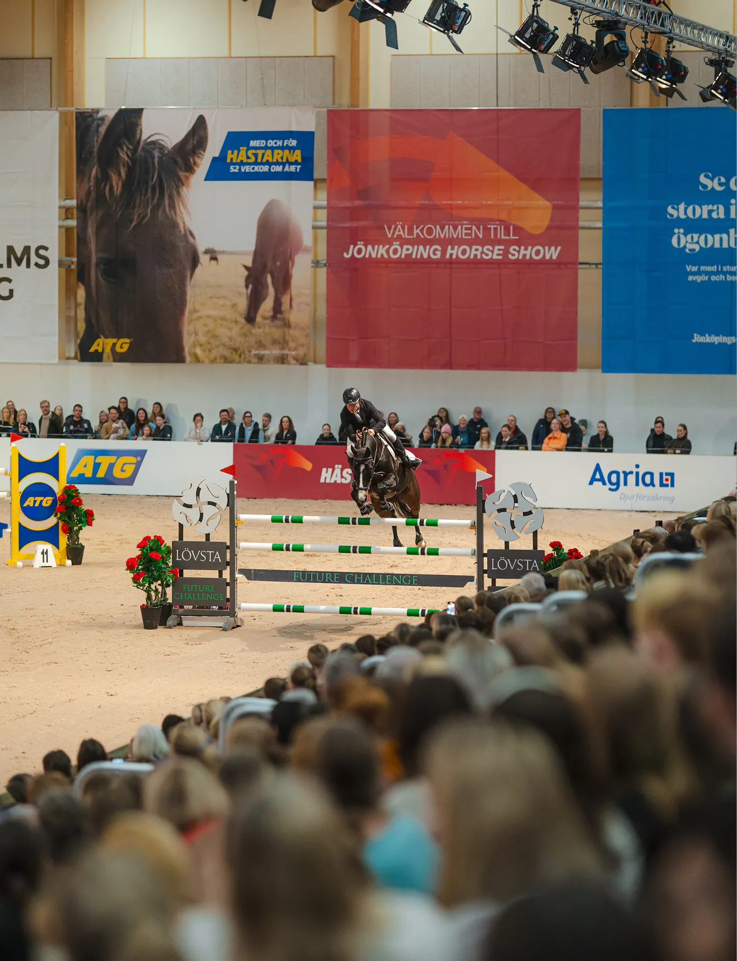 Equestrian rider jumps a dark horse over an obstacle at Jönköping Horse Show with spectators watching.