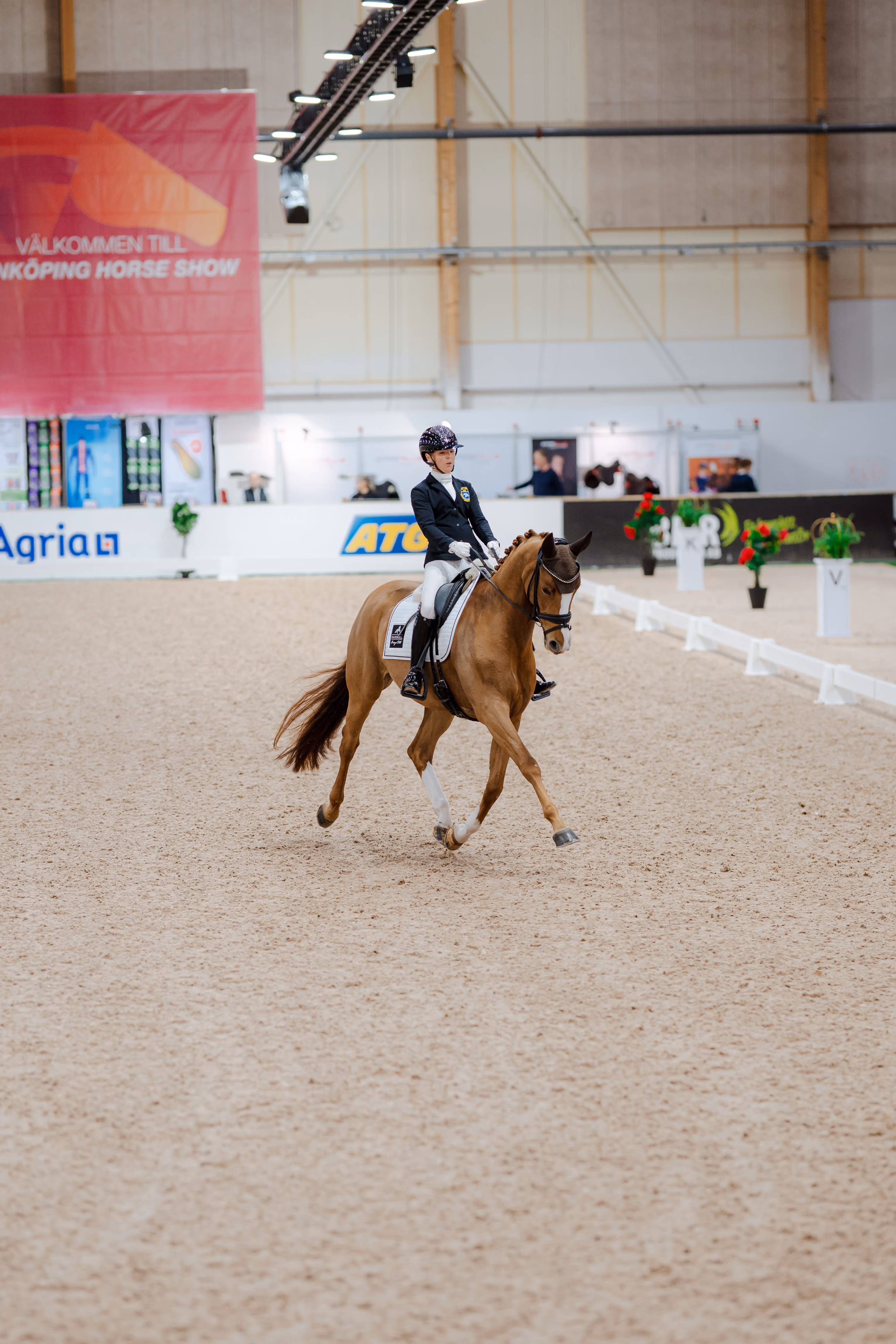 Equestrian rider in formal attire performing dressage on a chestnut horse in an indoor arena.