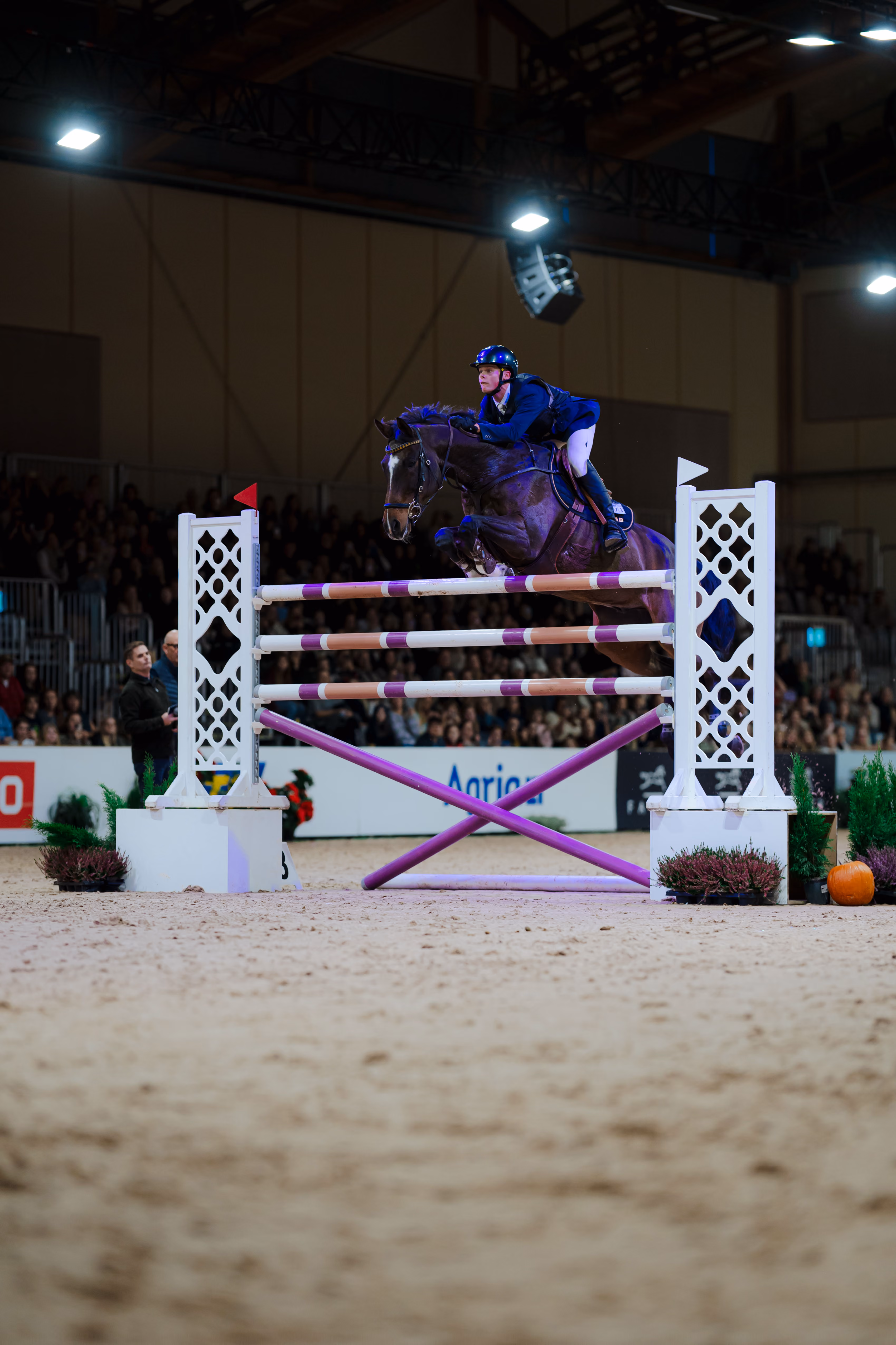 Equestrian jumper in blue jacket leaping a high fence on a dark horse inside an arena with spectators.