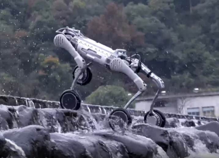Quadruped inspectierobot
