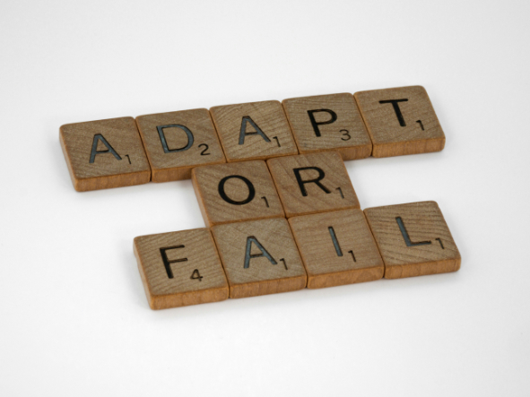 Image of tokens saying adapt or die