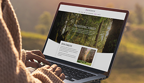 Person in sweater working on a laptop showing a forest-themed website design.