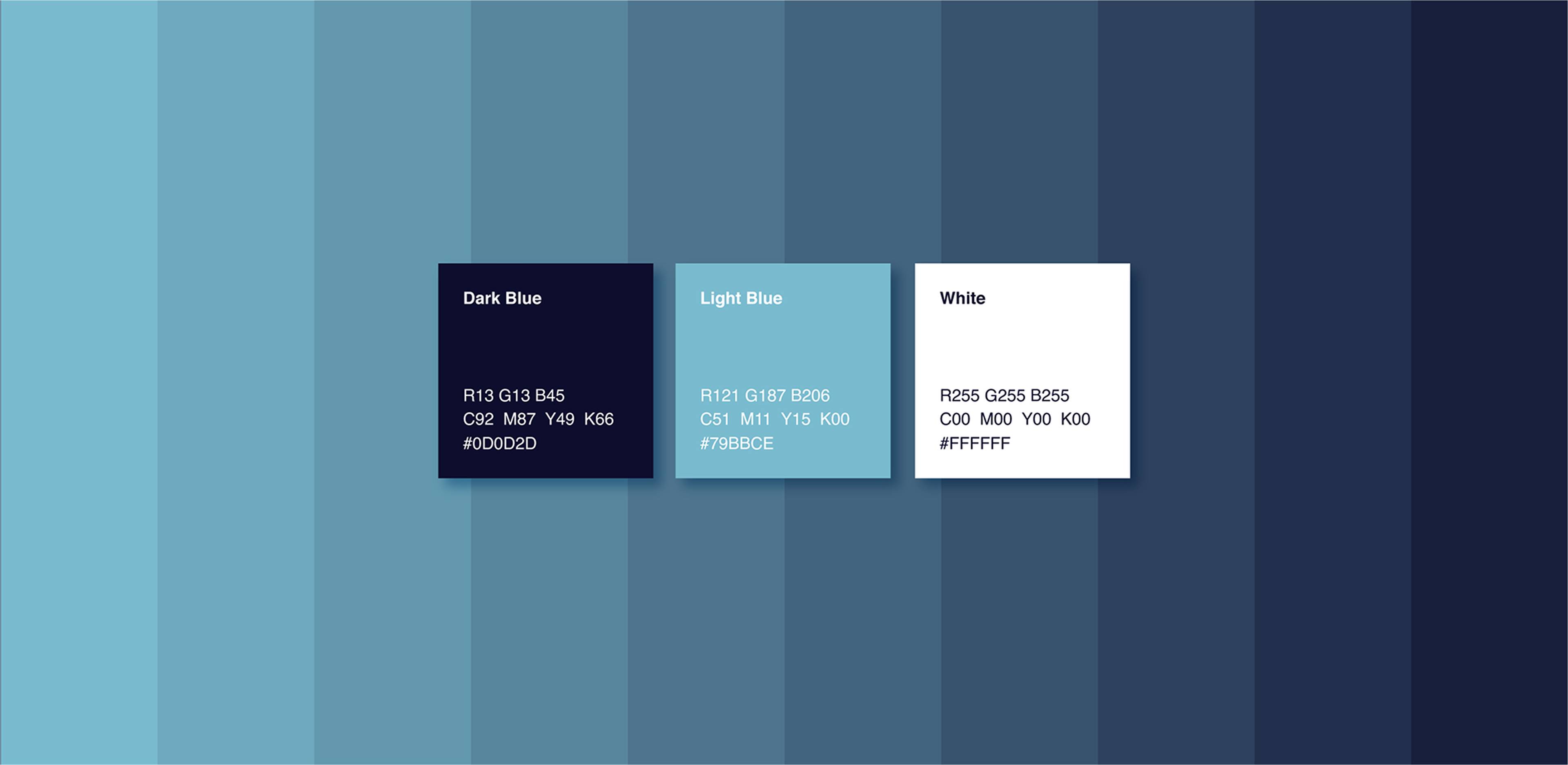 Color palette with dark blue, light blue, and white squares showing RGB, CMYK, and hex codes.