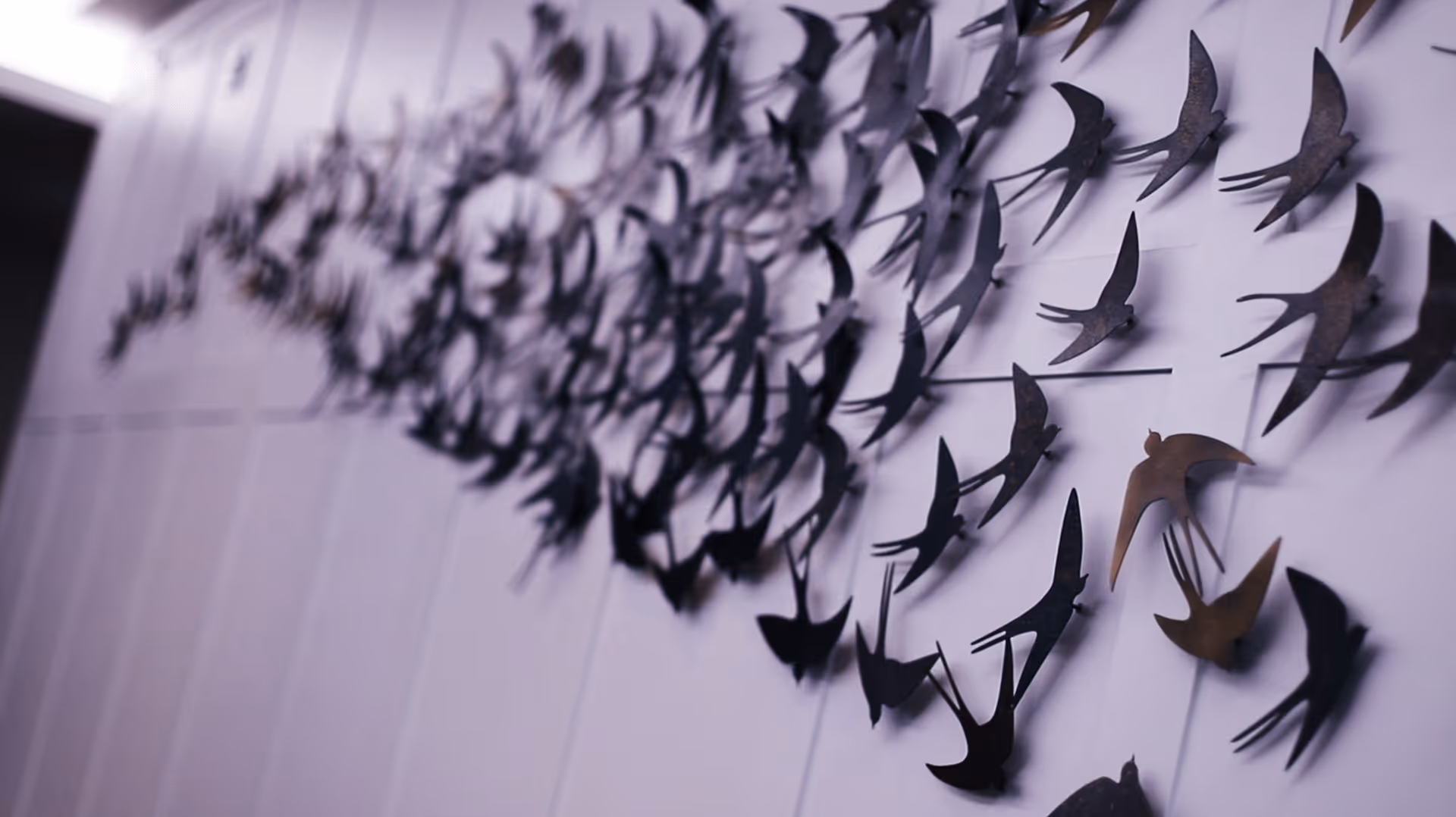 Black metal bird-shaped sculptures mounted on a white wall in a swirling pattern.