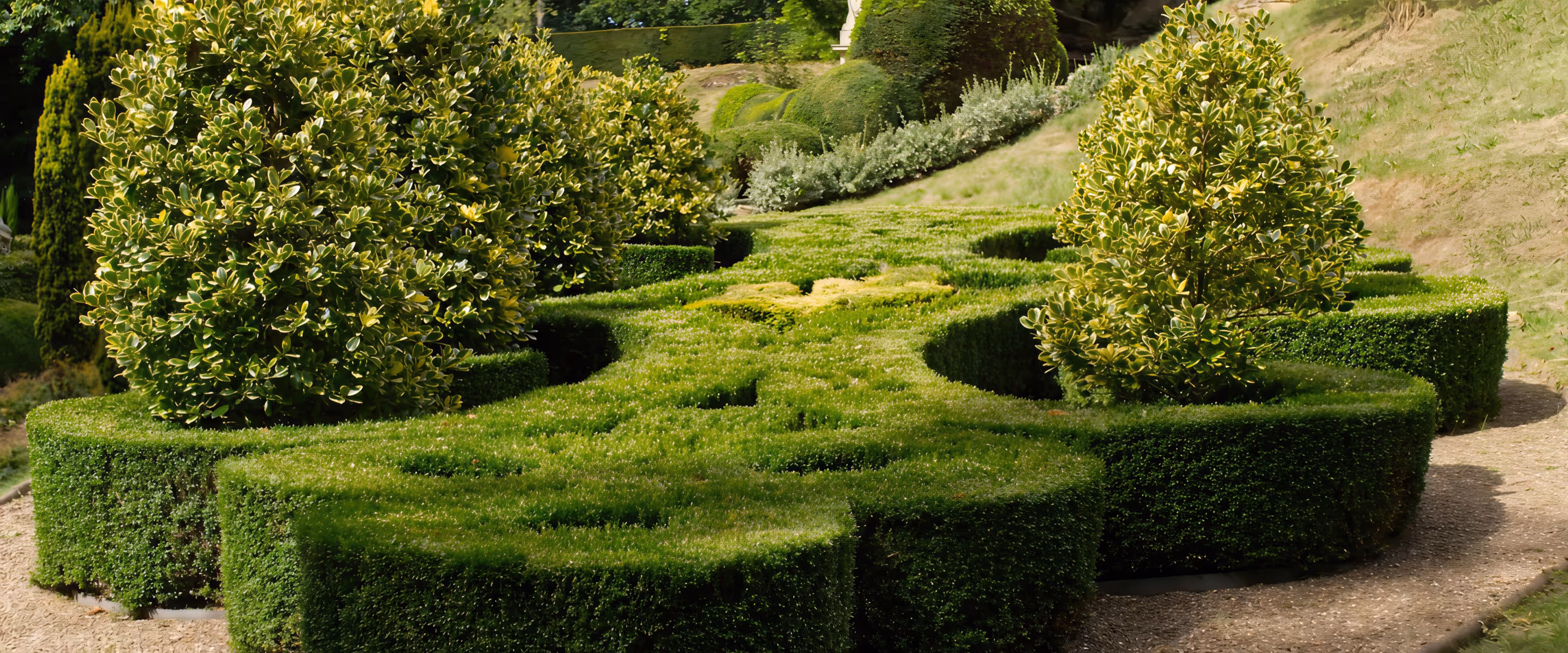 Intricately trimmed green hedges and round bushes in a formal garden setting.
