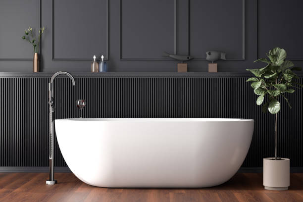Stylish bathroom with black fixtures