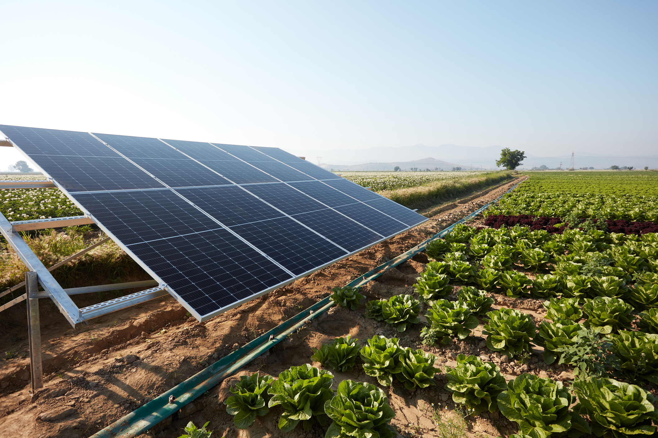 Installation de panneaux photovoltaïques en agrivoltaïsme sur exploitation maraîchère par DRS EnergieInstallation de panneaux photovoltaïques en agrivoltaïsme sur exploitation maraîchère par DRS Energie