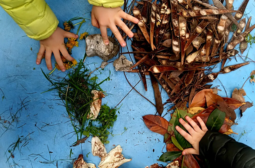 Childrens hands at a forest school