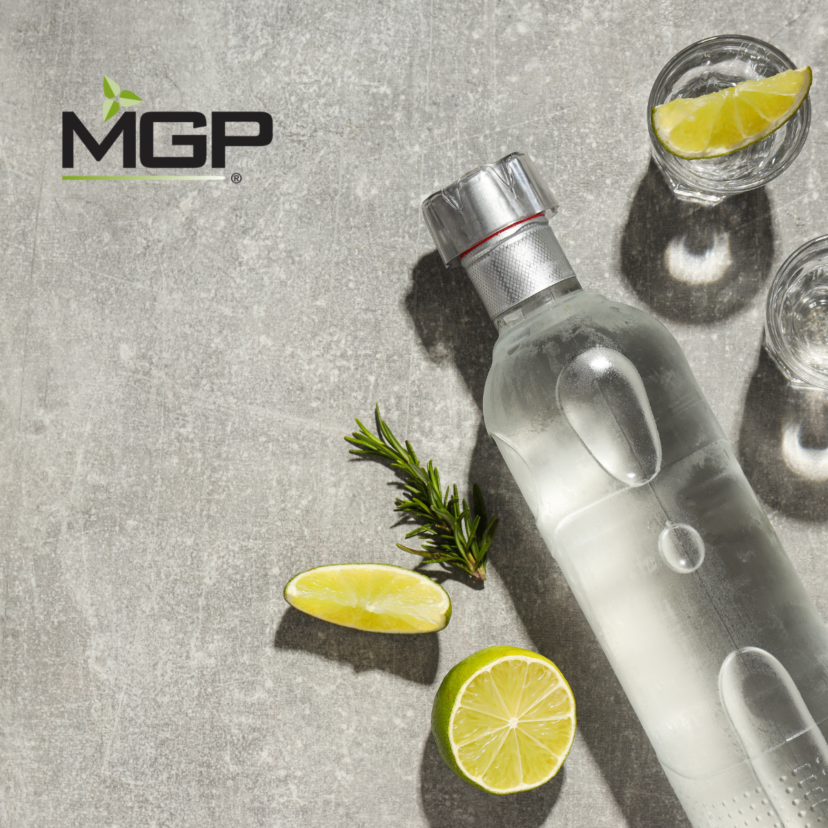 QLM Search works in partnership with MGP Ingredients to appoint a Vice President FP&A