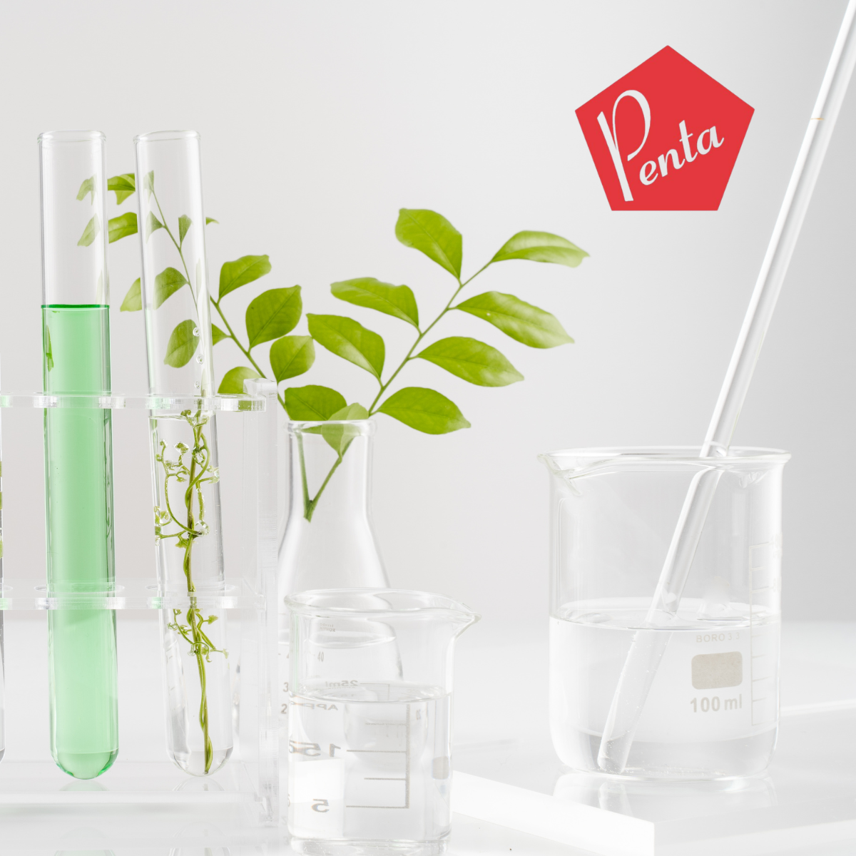 QLM Search works in partnership with Penta Fine Ingredients to appoint a Chief Executive Officer