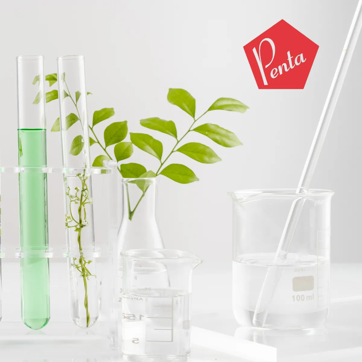 QLM Search works in partnership with Penta Fine Ingredients to appoint a Chief Executive Officer