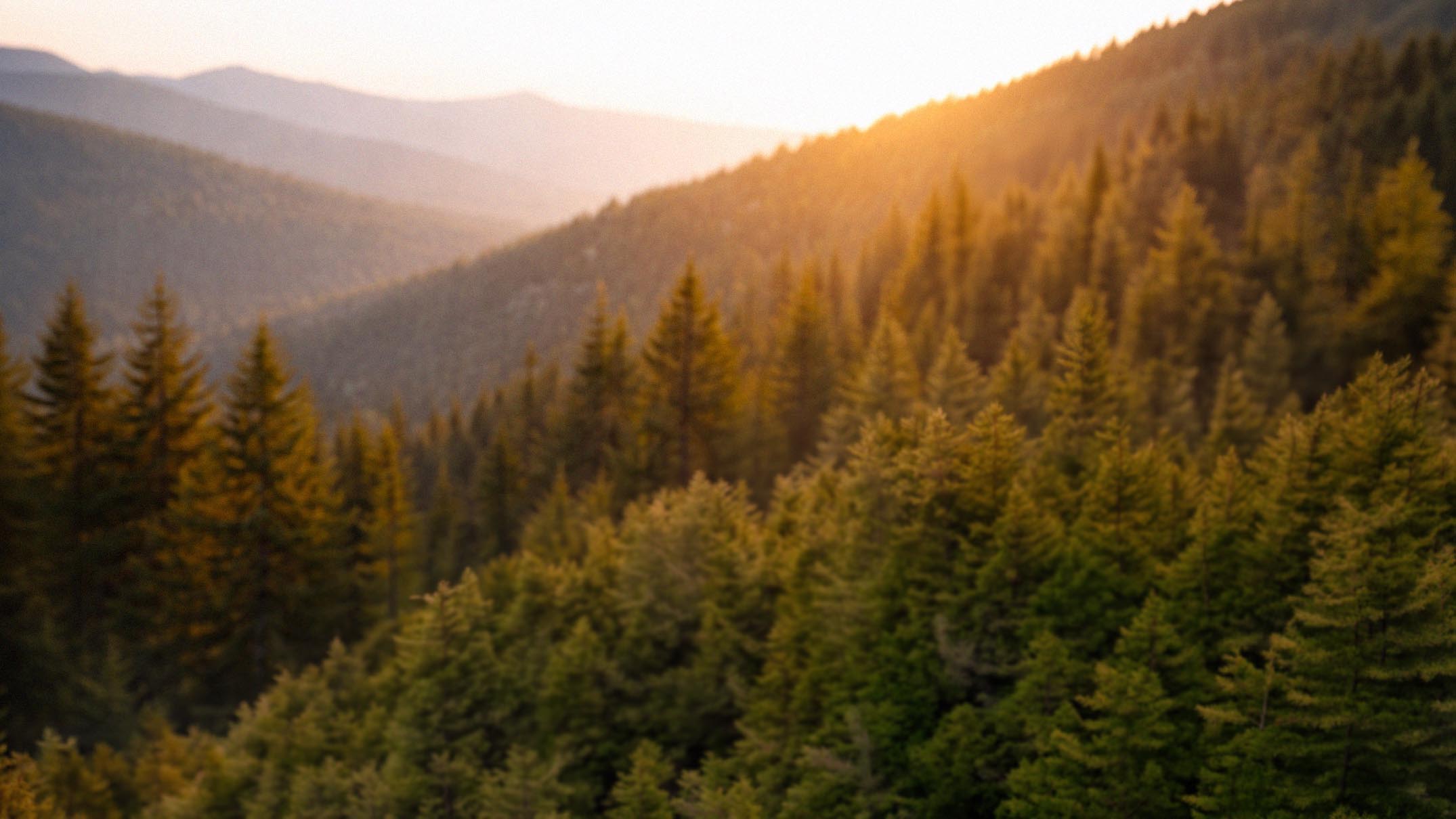Sunset over a forested mountain range with layers of evergreen trees and distant hills.