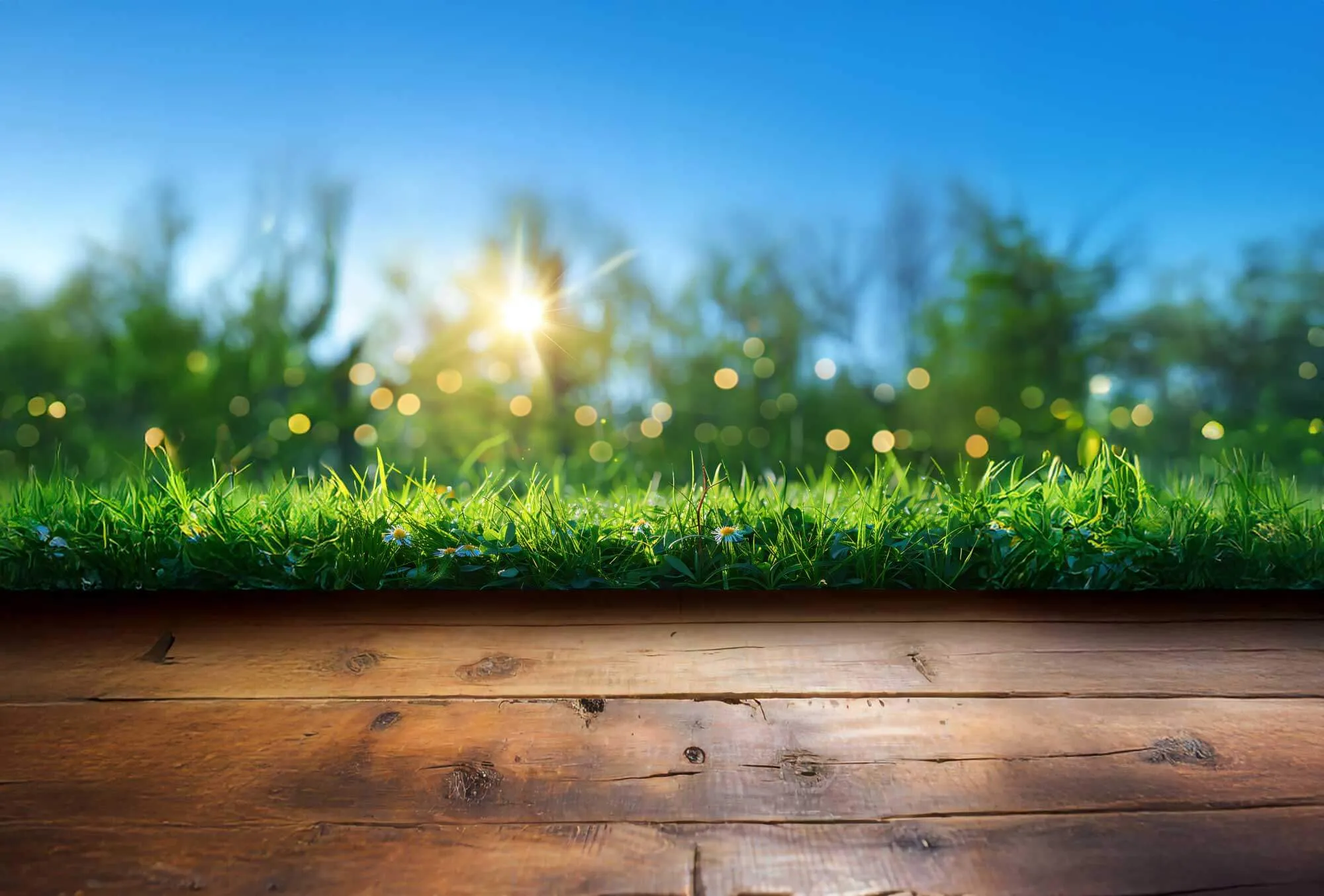 Holztisch mit Grasreihe und Wildblumen vor verschwommenem Wald und Sonnenschein.