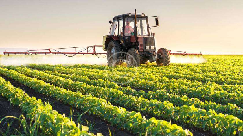 Tractor spraying crops at sunset
