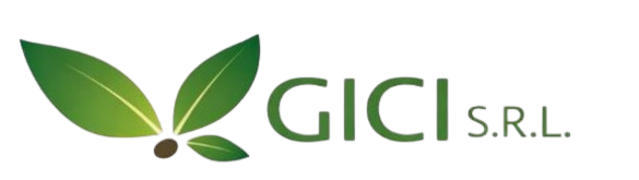 Green leaf logo with the text GICI S.R.L. in green letters on a transparent background.