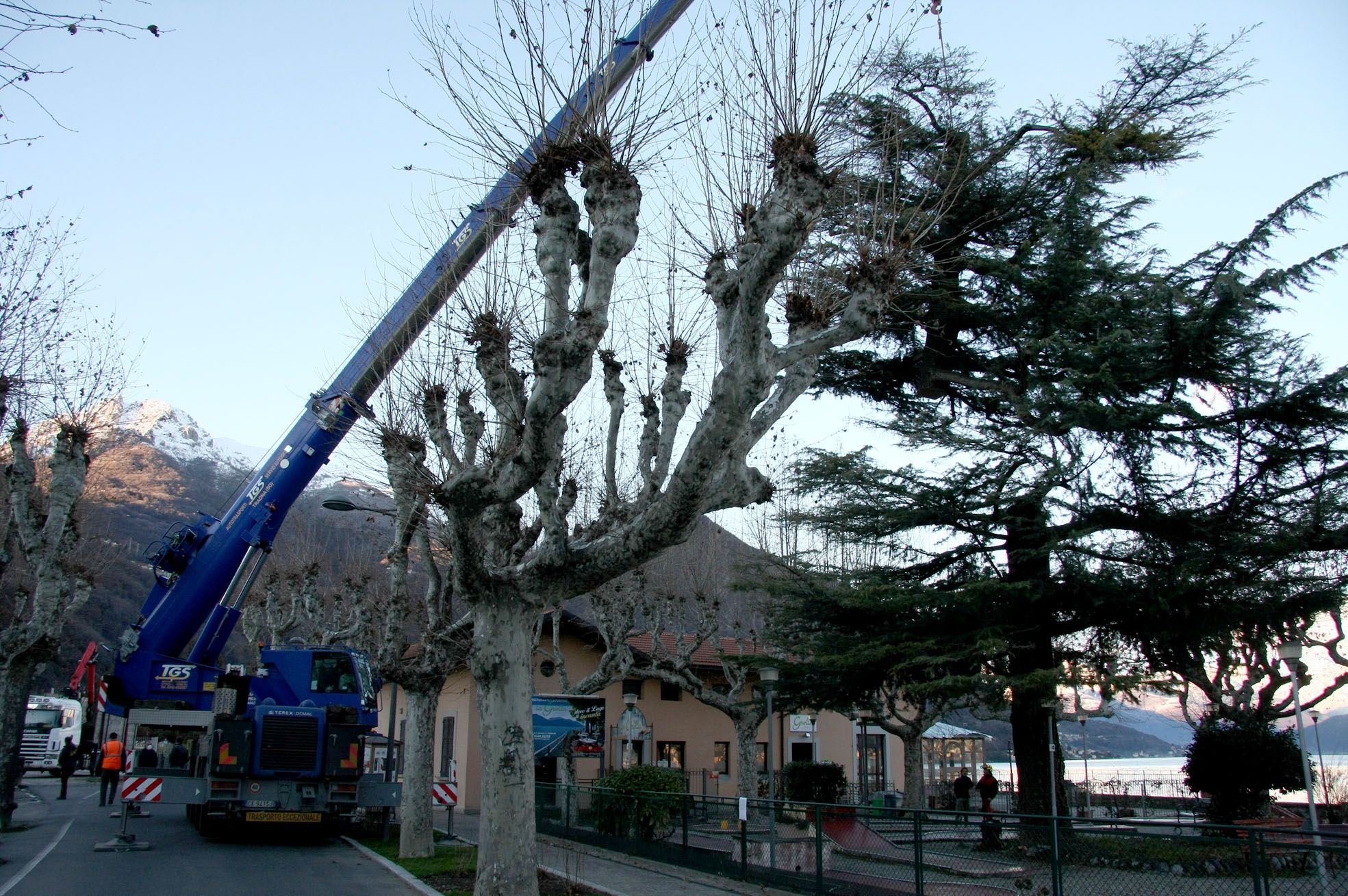 Blue crane truck among leafless trees beside a building near a lake and mountains.