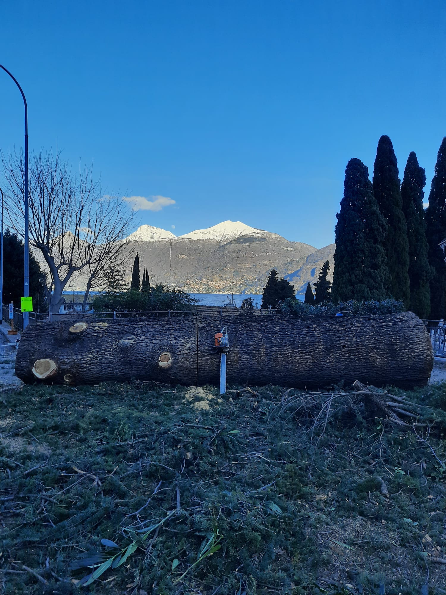 Large cut tree trunk on ground with chainsaw in front, mountains and lake in background under blue sky.