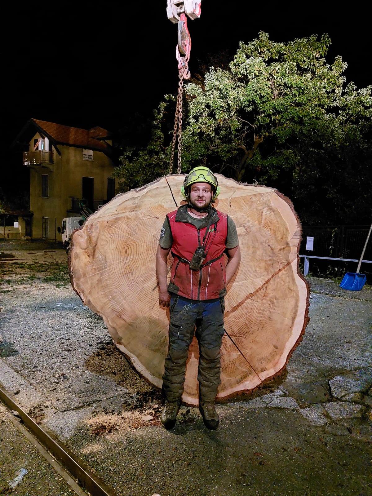 Worker wearing helmet and red vest standing in front of a huge tree trunk slice outdoors at night.
