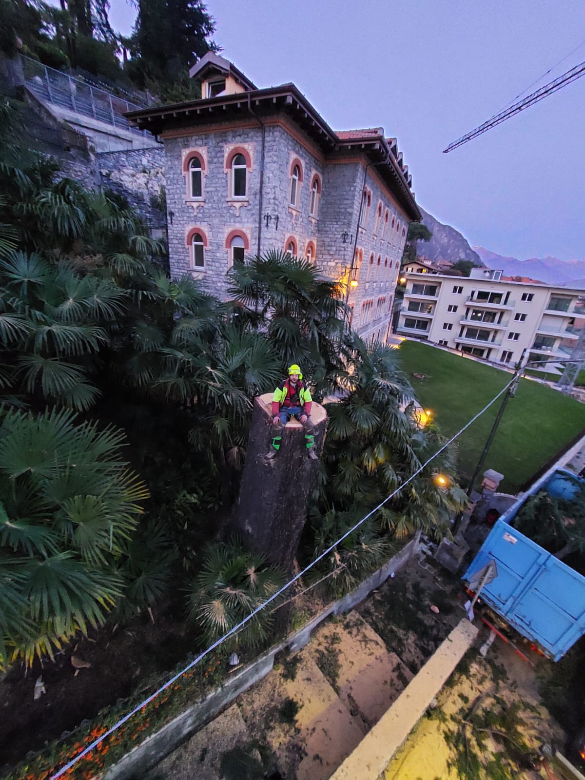 Worker in safety gear sitting on top of a large tree stump near buildings and greenery at dusk.