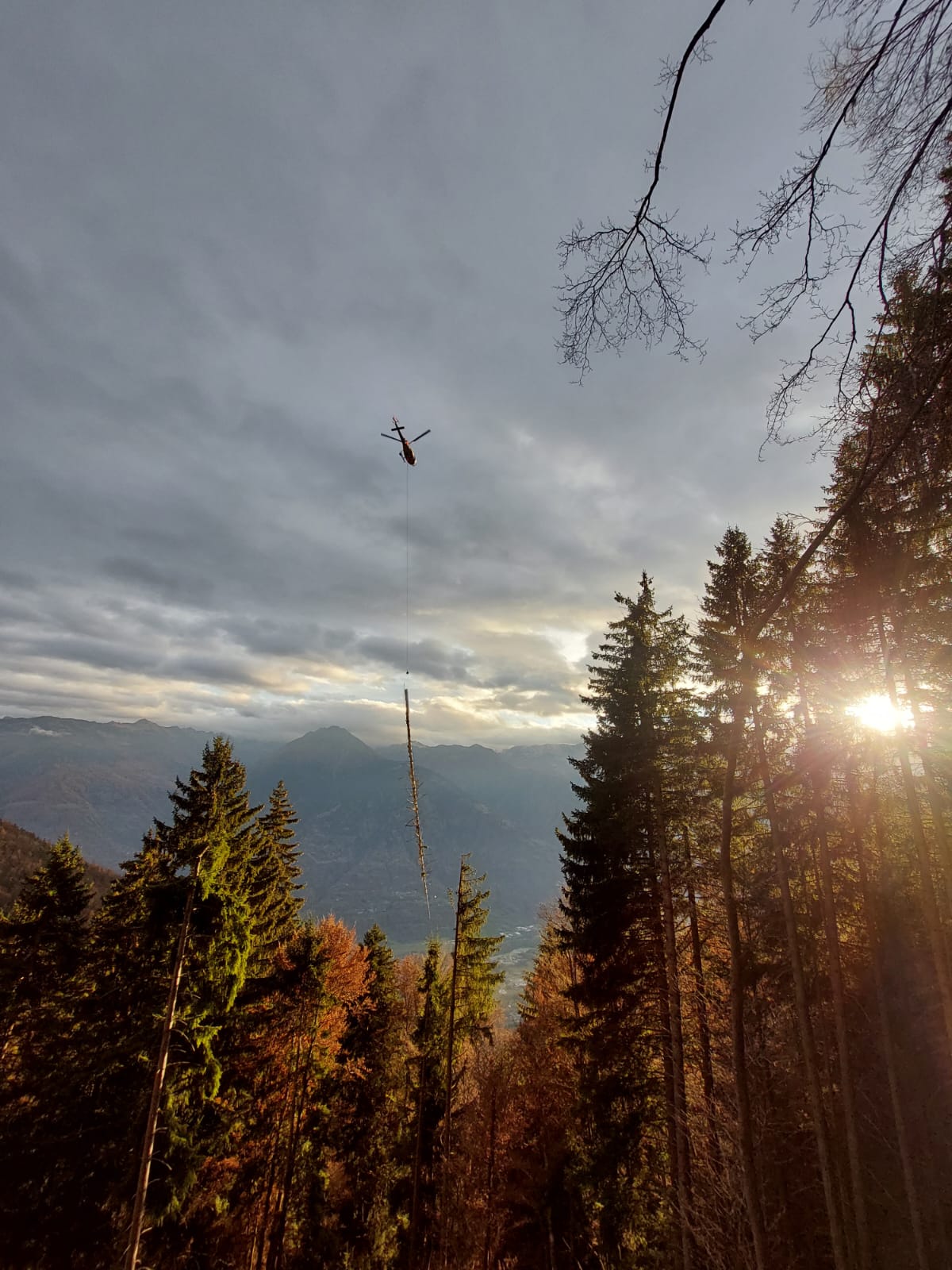 Helicopter lifting a long tree trunk over a forest with mountains and sunlit clouds in the background.