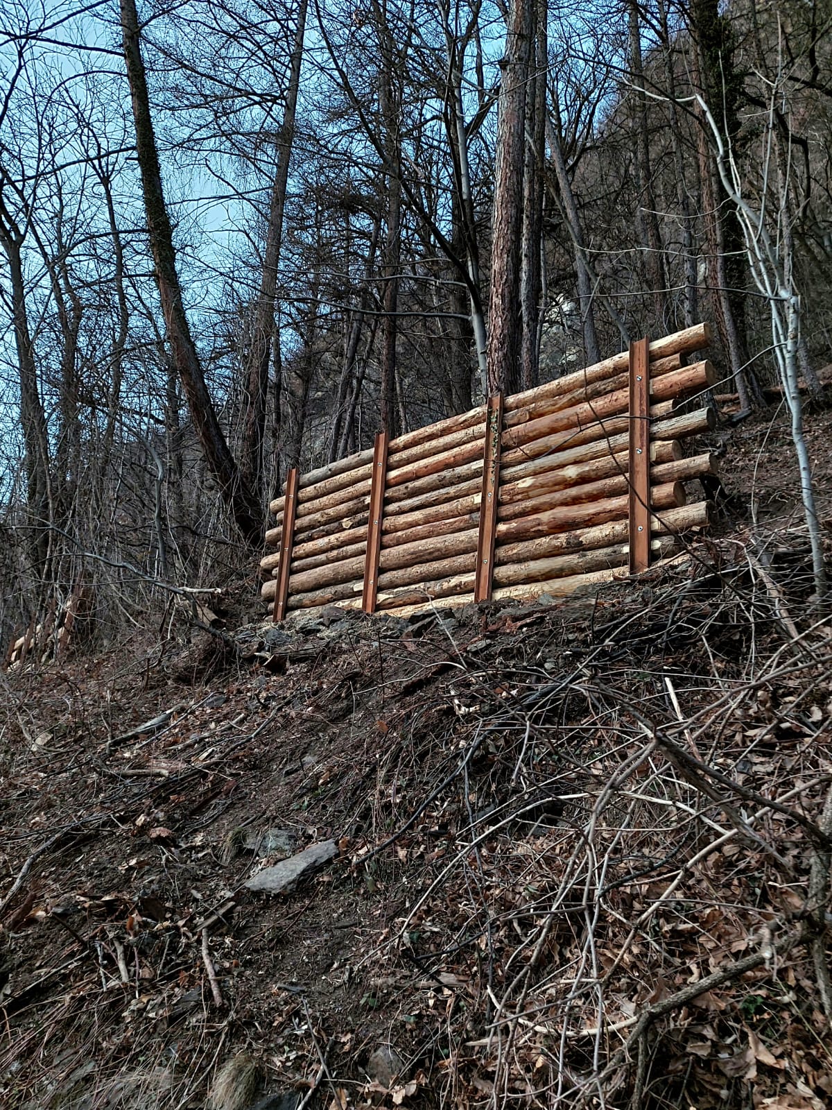 Wooden log barrier built on a steep forested hillside with leafless trees and twigs.