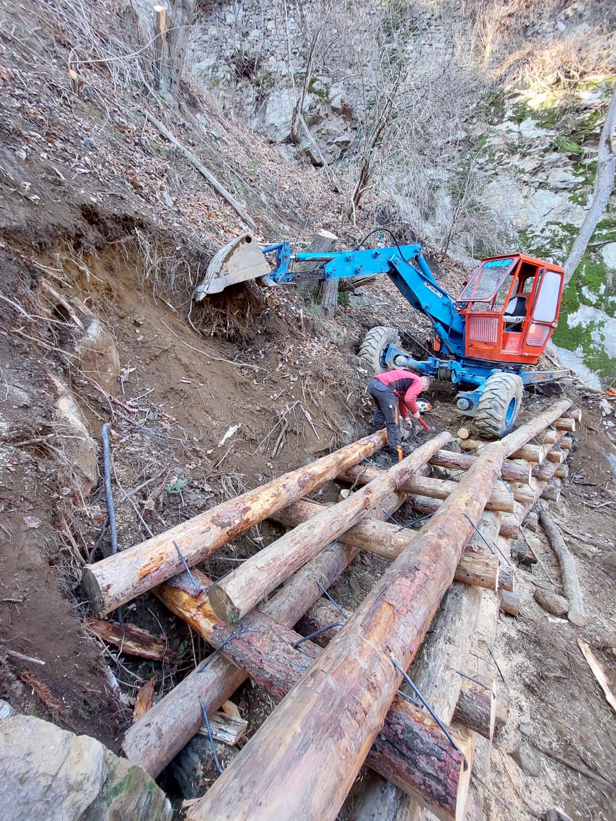 Worker bending over wooden logs tied together near blue excavator on steep hillside.