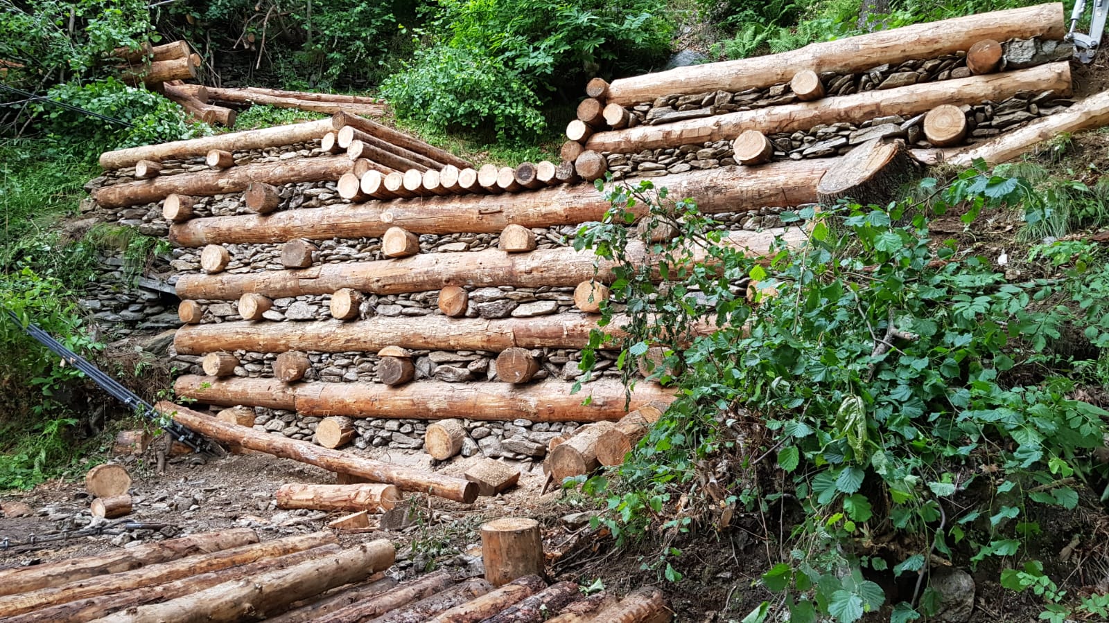 Stacked logs and stones form a retaining wall in a forested area with green shrubs.