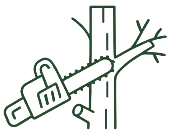 Line drawing of a chainsaw cutting a tree trunk along a branch.