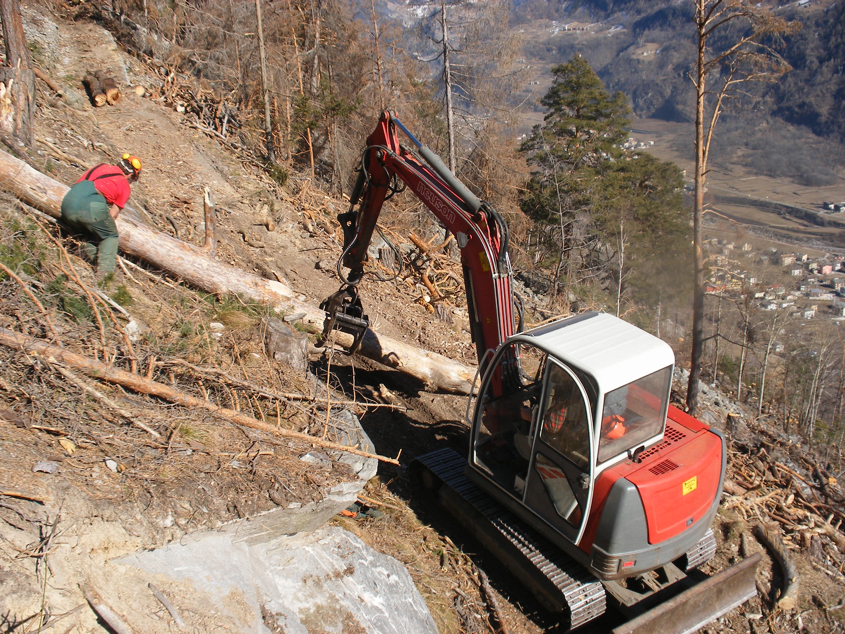 Worker in protective gear and excavator lifting large log on a forested mountainside slope.