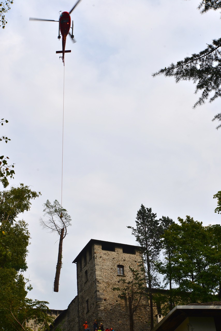 Red helicopter lifting a tall tree trunk above a stone building surrounded by trees and people below.