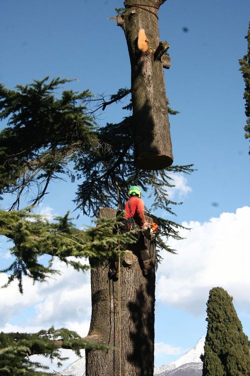 Tree worker in safety gear with chainsaw sits on large tree trunk suspended in air against blue sky.