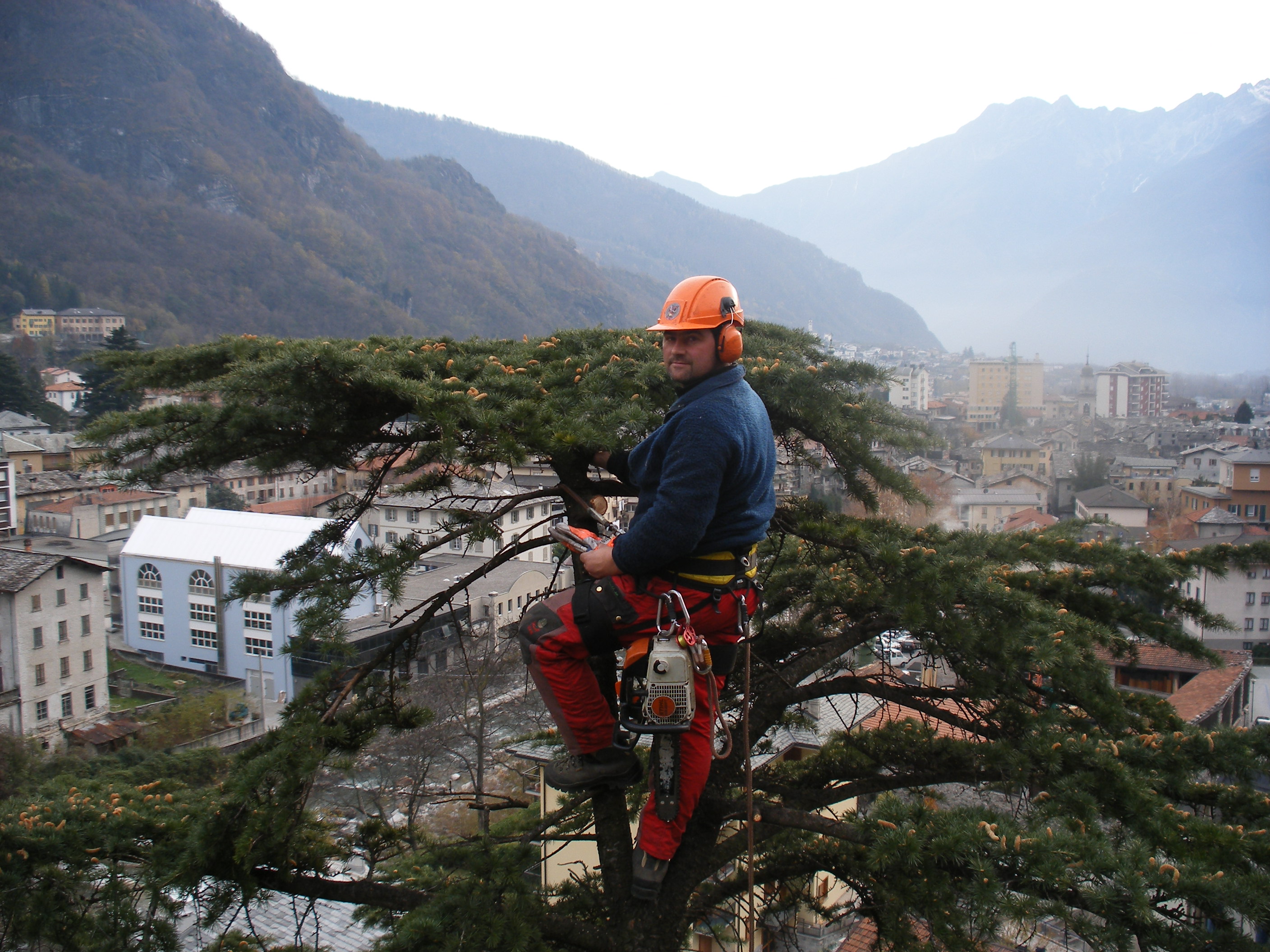 Man in safety gear with chainsaw perched on a tree branch overlooking town below and mountains beyond.