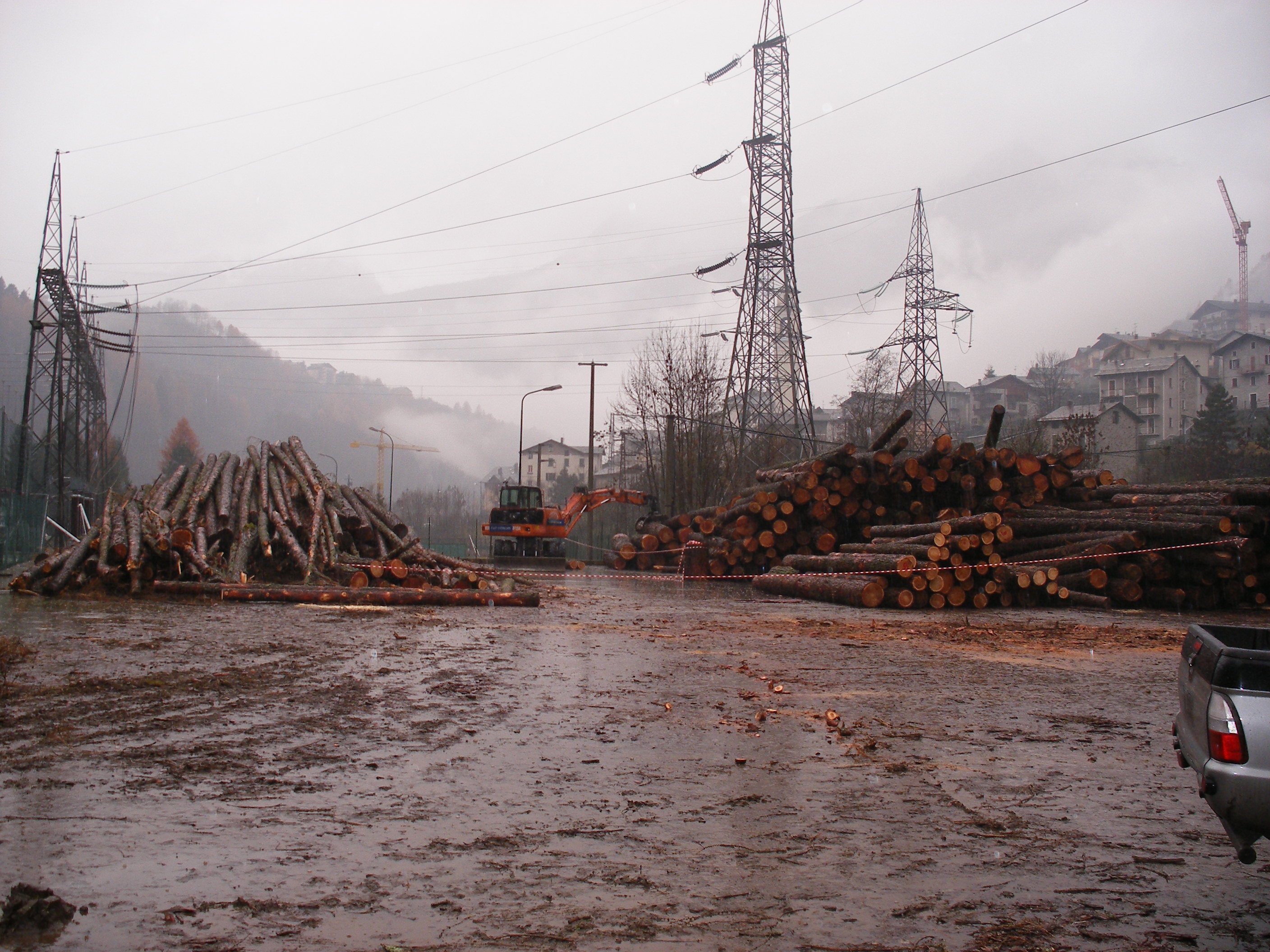 Piles of cut logs stacked in an open, muddy area with power lines and buildings in the background.