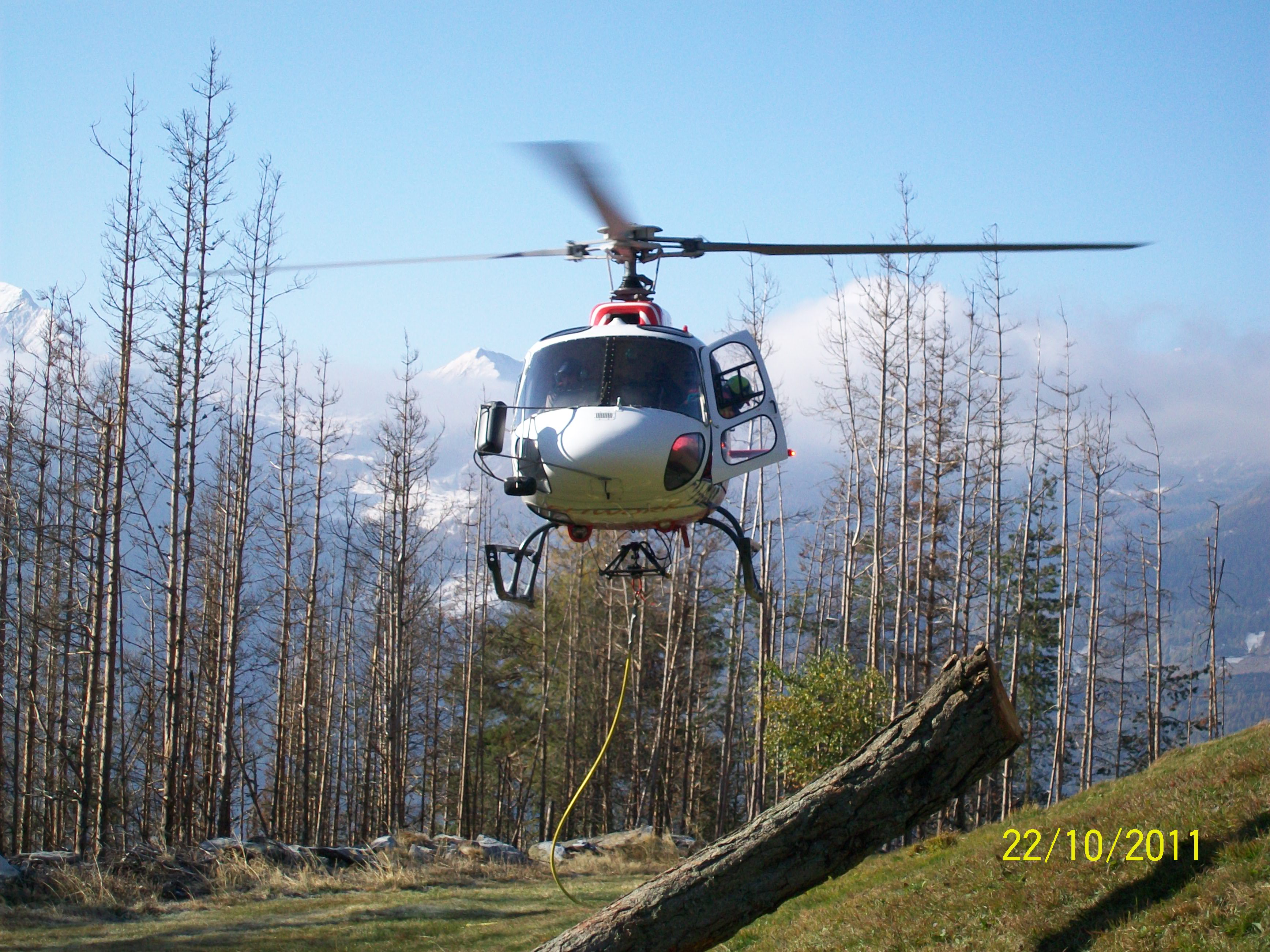 White helicopter with open door lifting a large log in a mountain forest with snow peaks in the background.