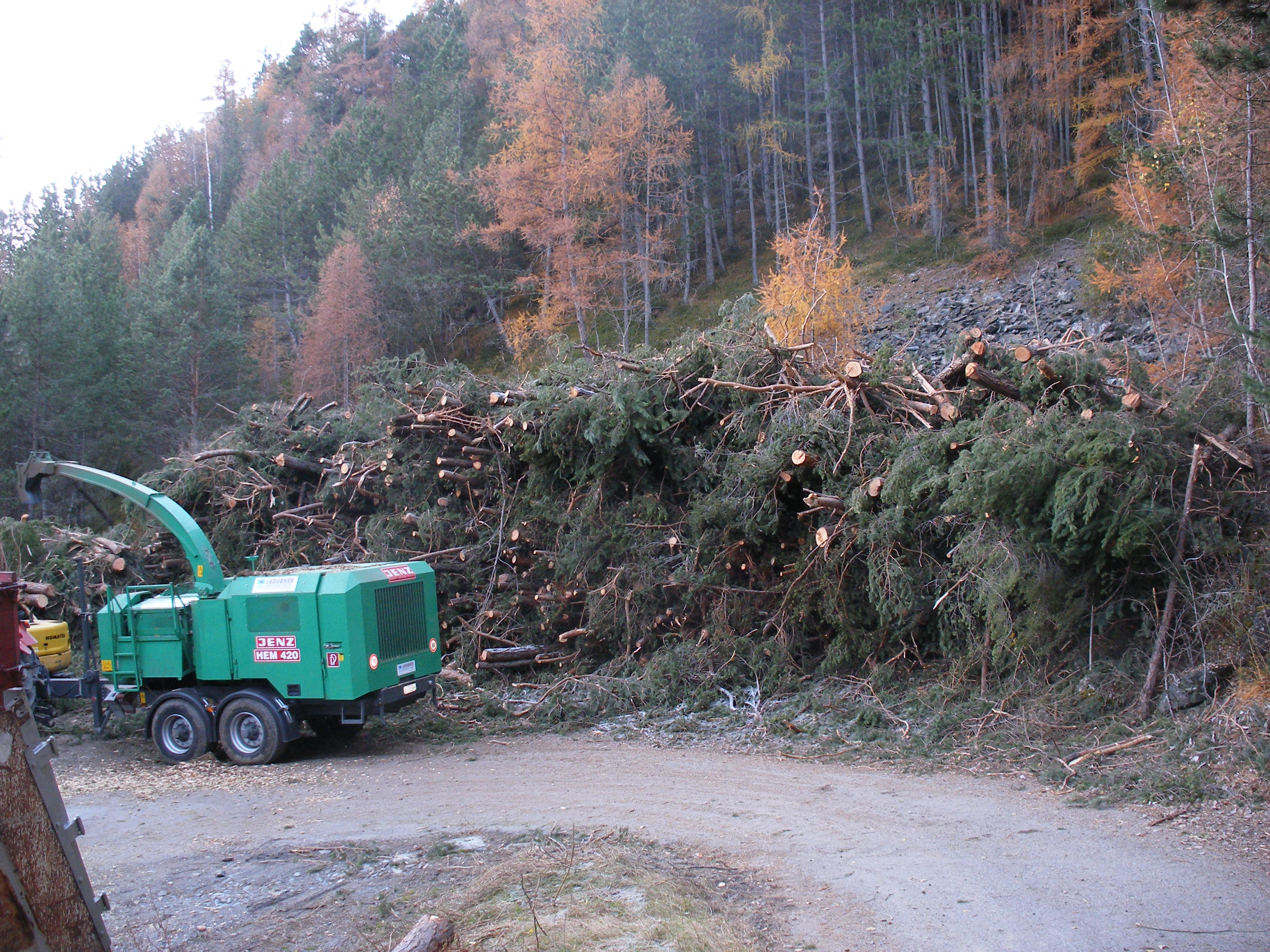 Green wood chipper machine beside large pile of freshly cut tree branches in a forest clearing.