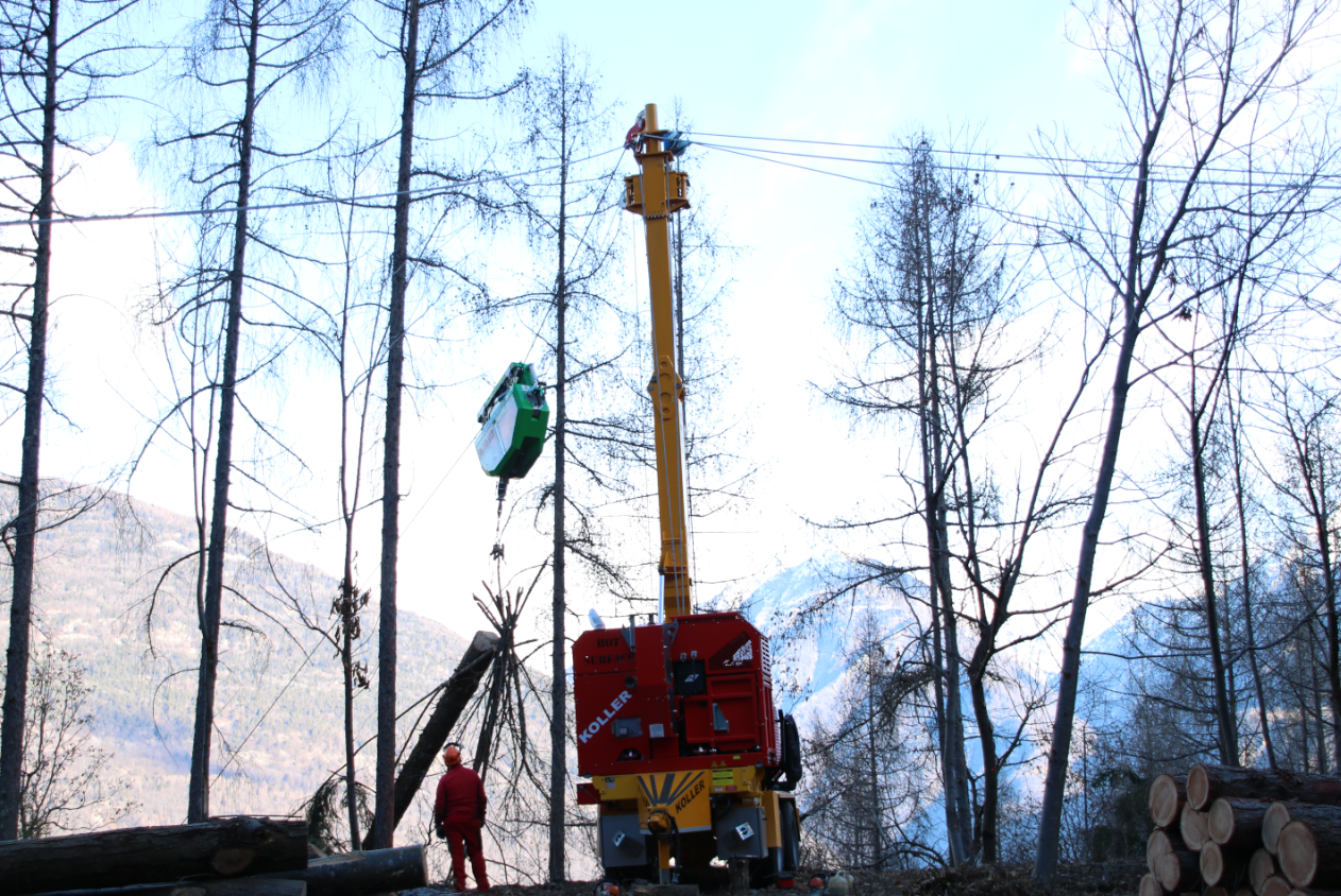 A worker in red operates a yellow crane lifting logs in a forested mountain area with stacked timber nearby.