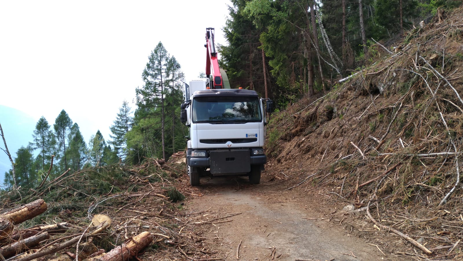 White logging truck on a forest dirt road with cut branches and trees on both sides.