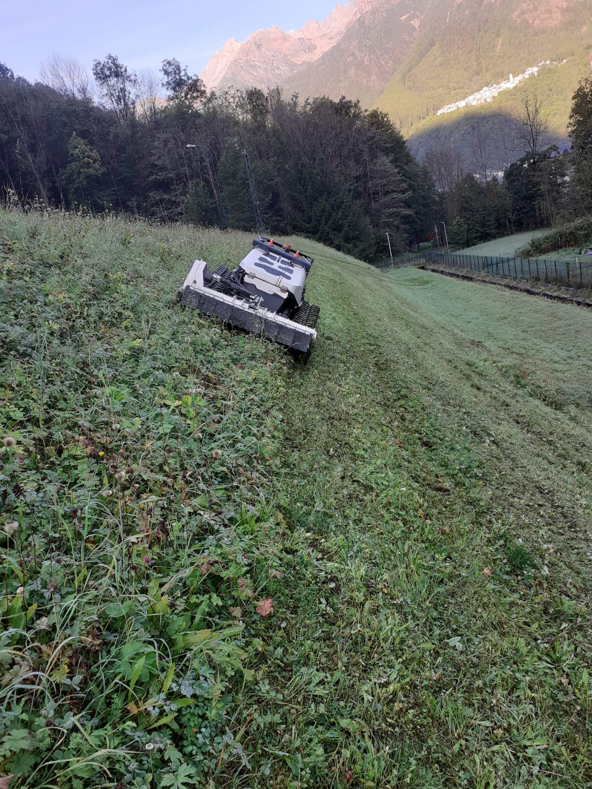 Tracked robotic mower cutting grass on a steep hillside with mountains and trees in the background.