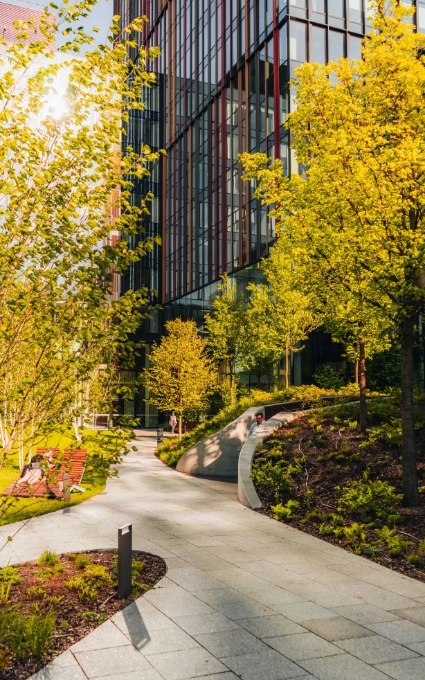 Landscape Construction
