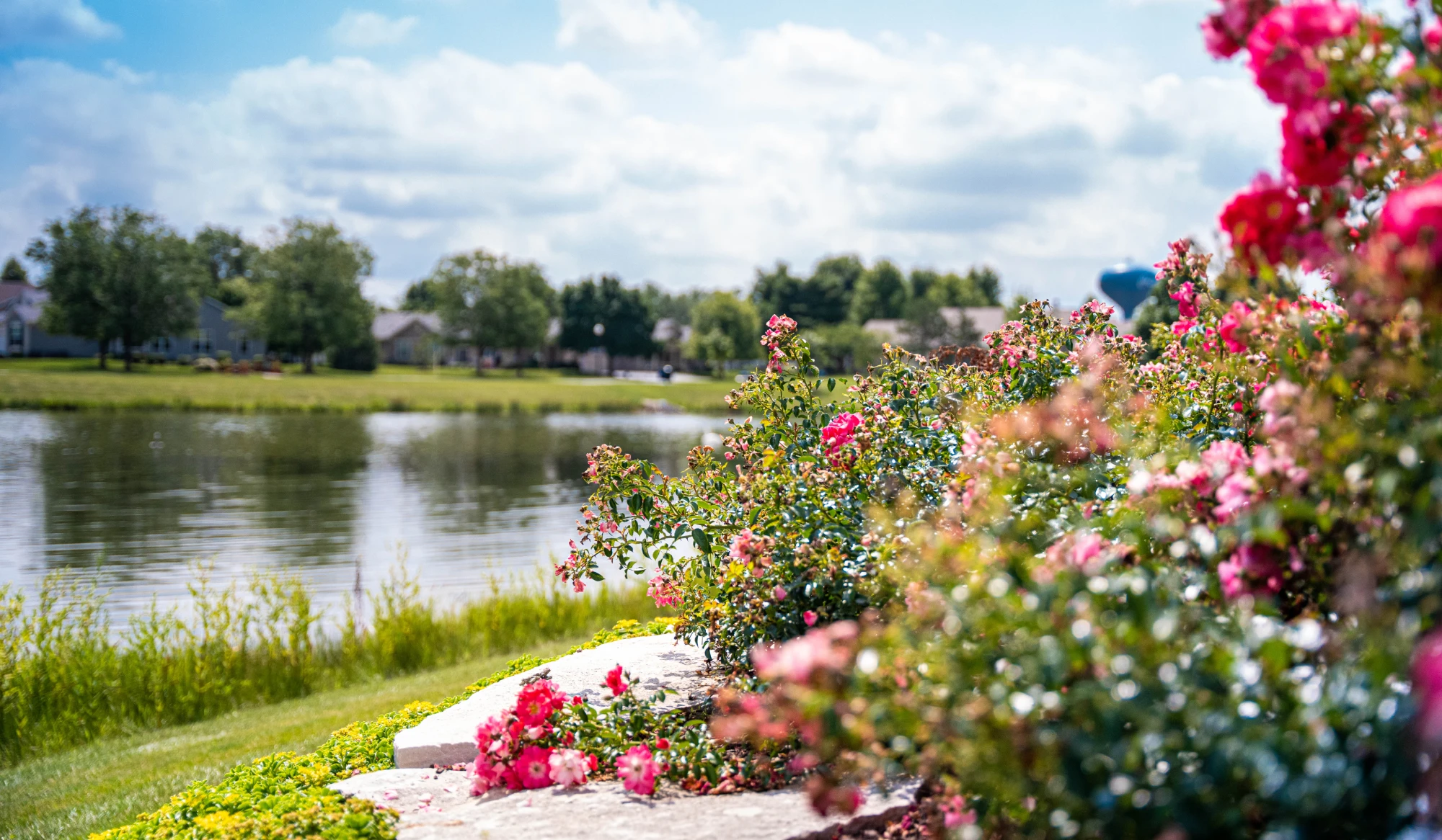 Landscape Enhancements
