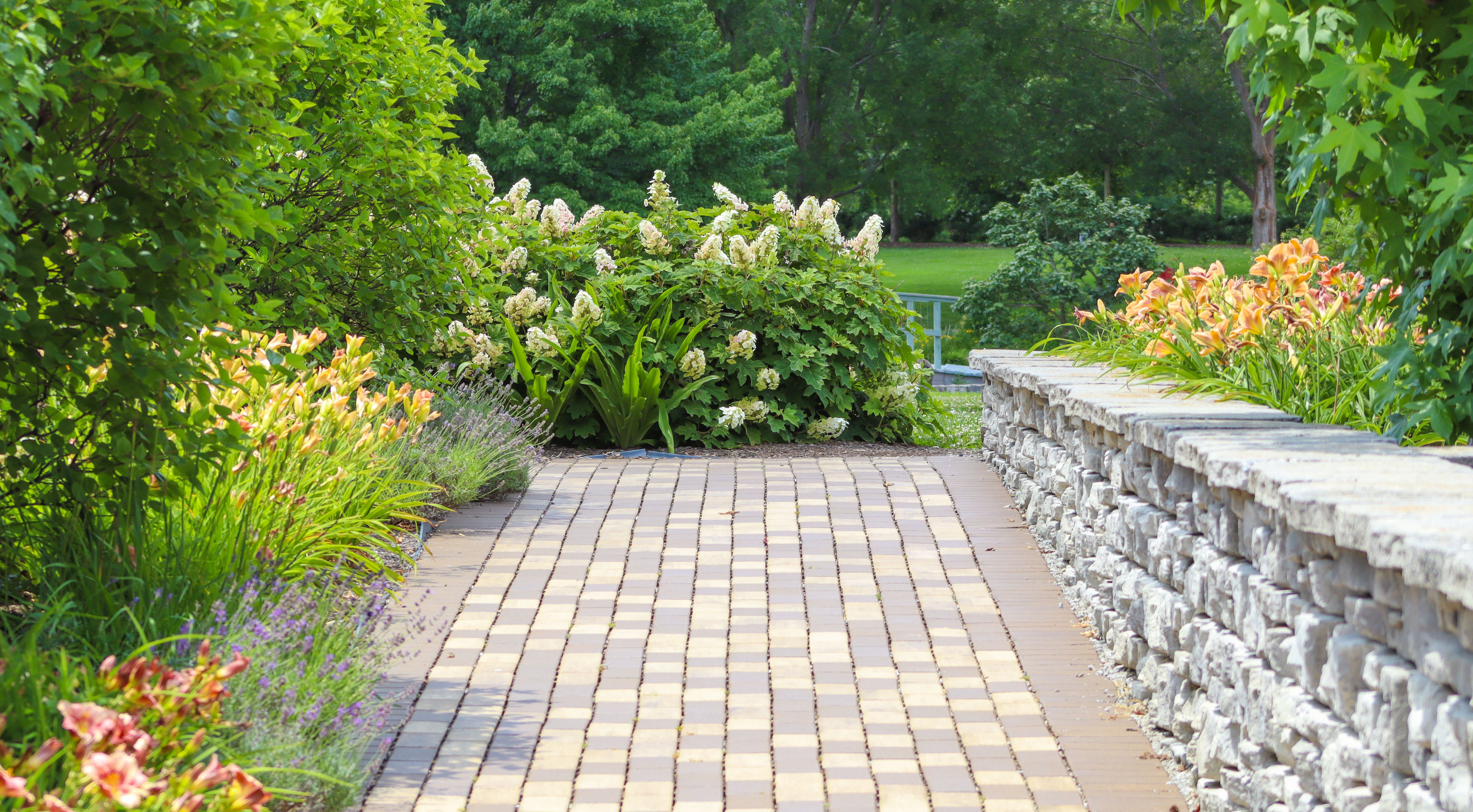 Landscape Construction
